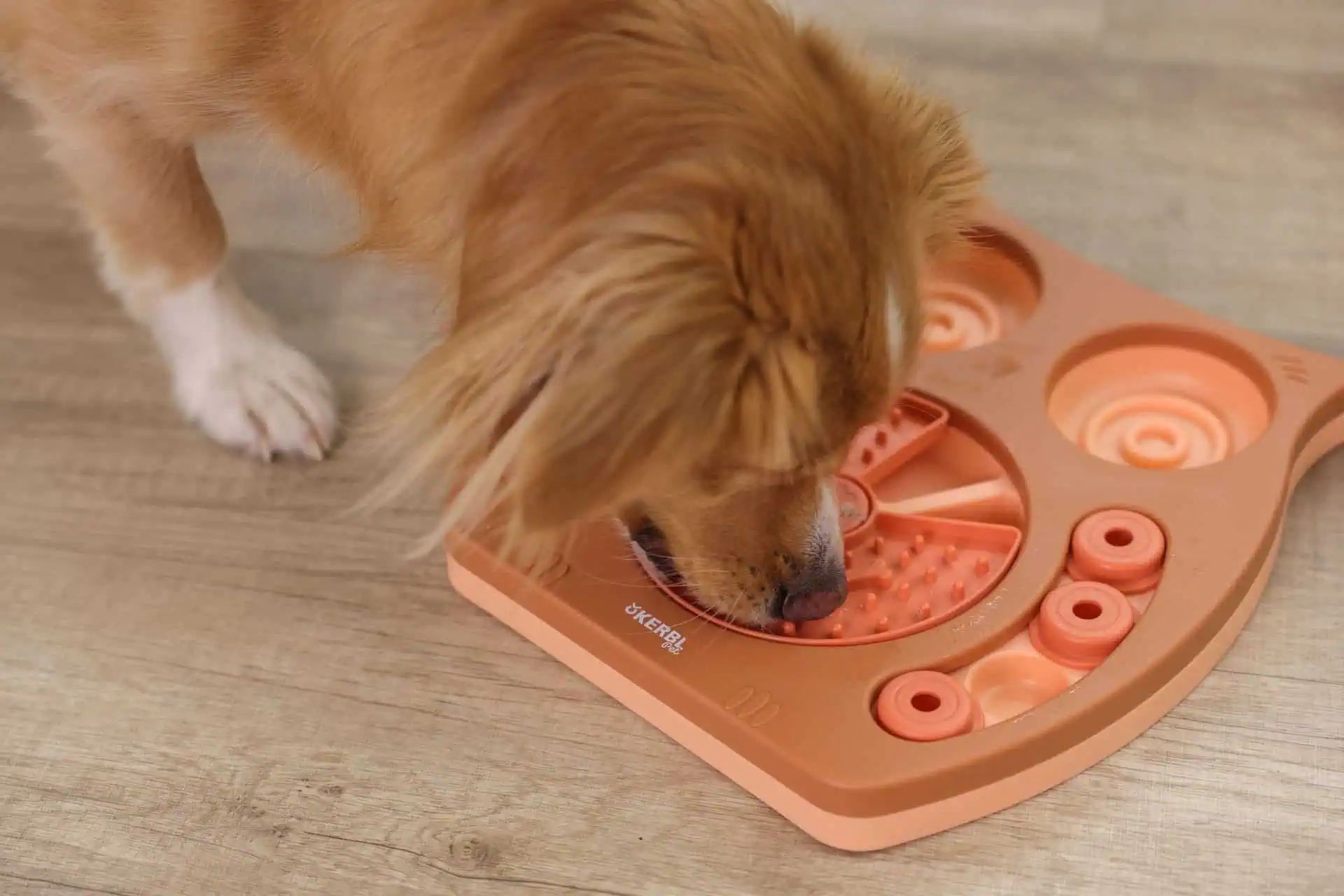 Kerbl Pet Thinking and Learning Toy Owl, Dog & Cat Puzzle Feeder, in use