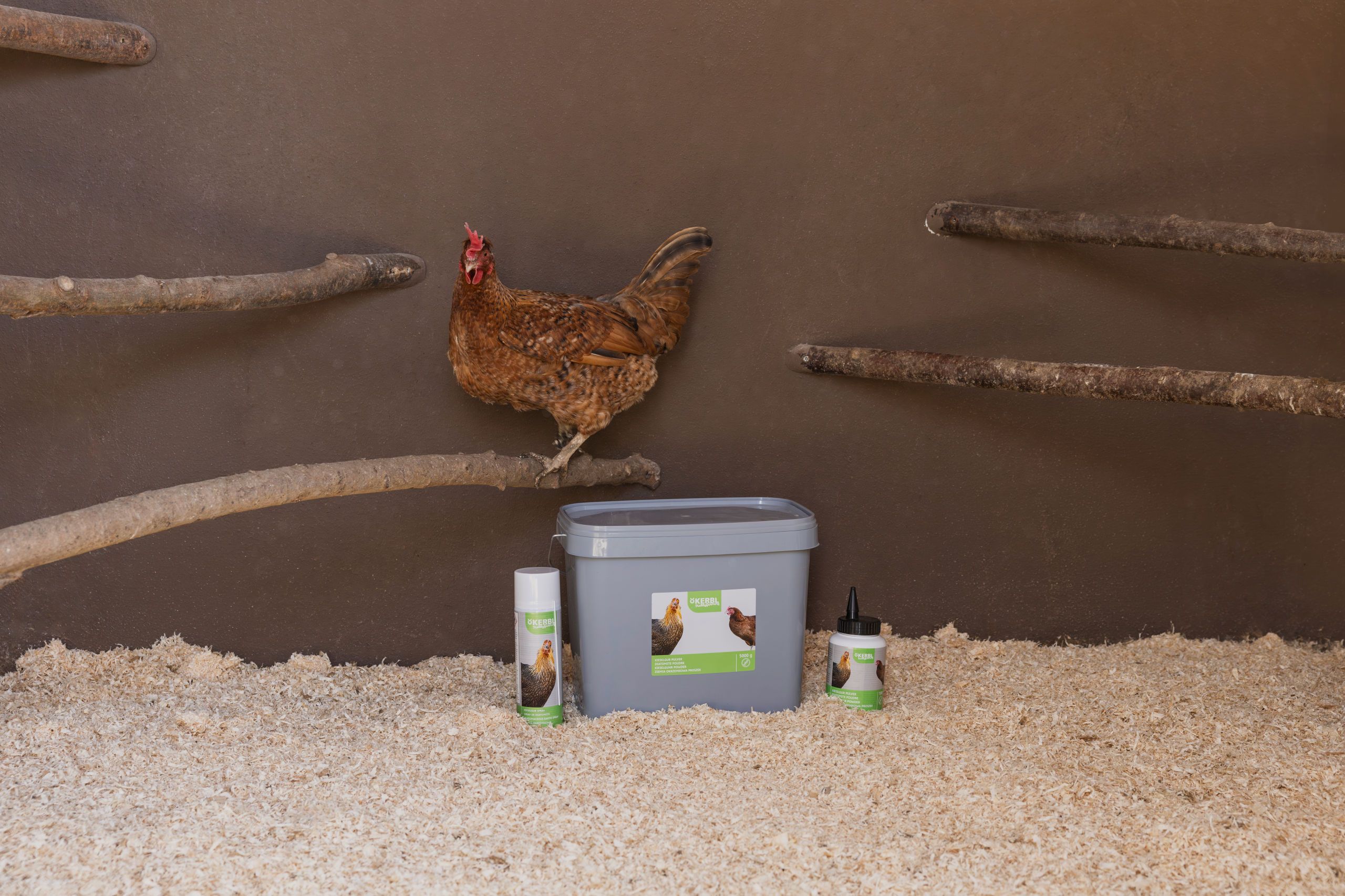 Henne, Huhn, Futter, Behälter, Stroh