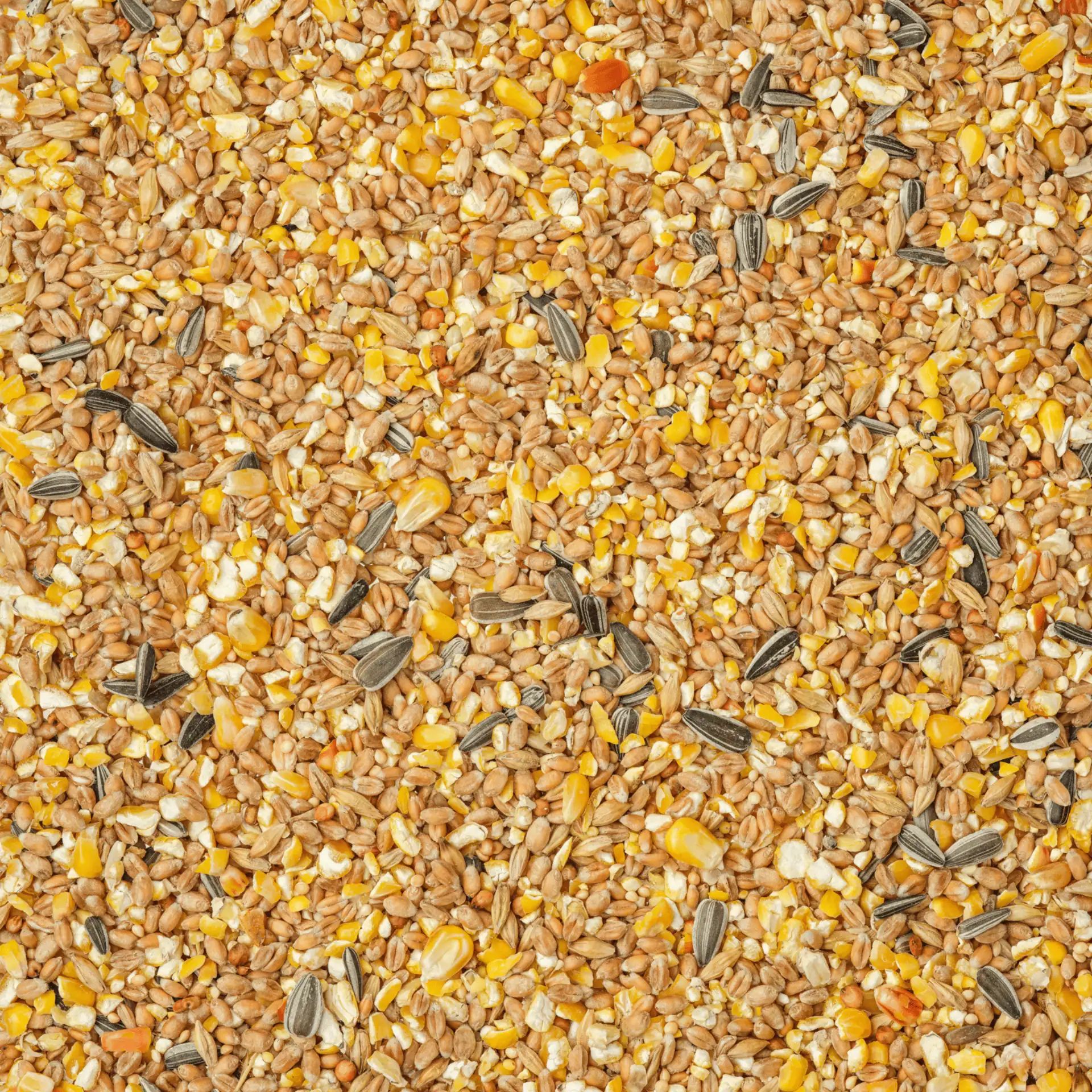 Leimüller Poultry Grain Feed 6-Grain, detail view