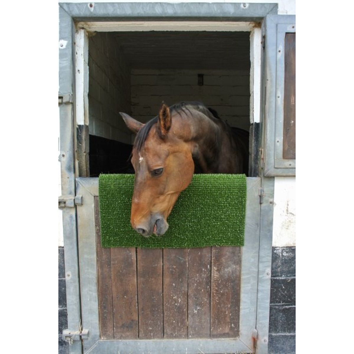 Kerbl Tapis grattoir et de nettoyage KratzPad pour chevaux, vert, flexible, 55 x 90 cm