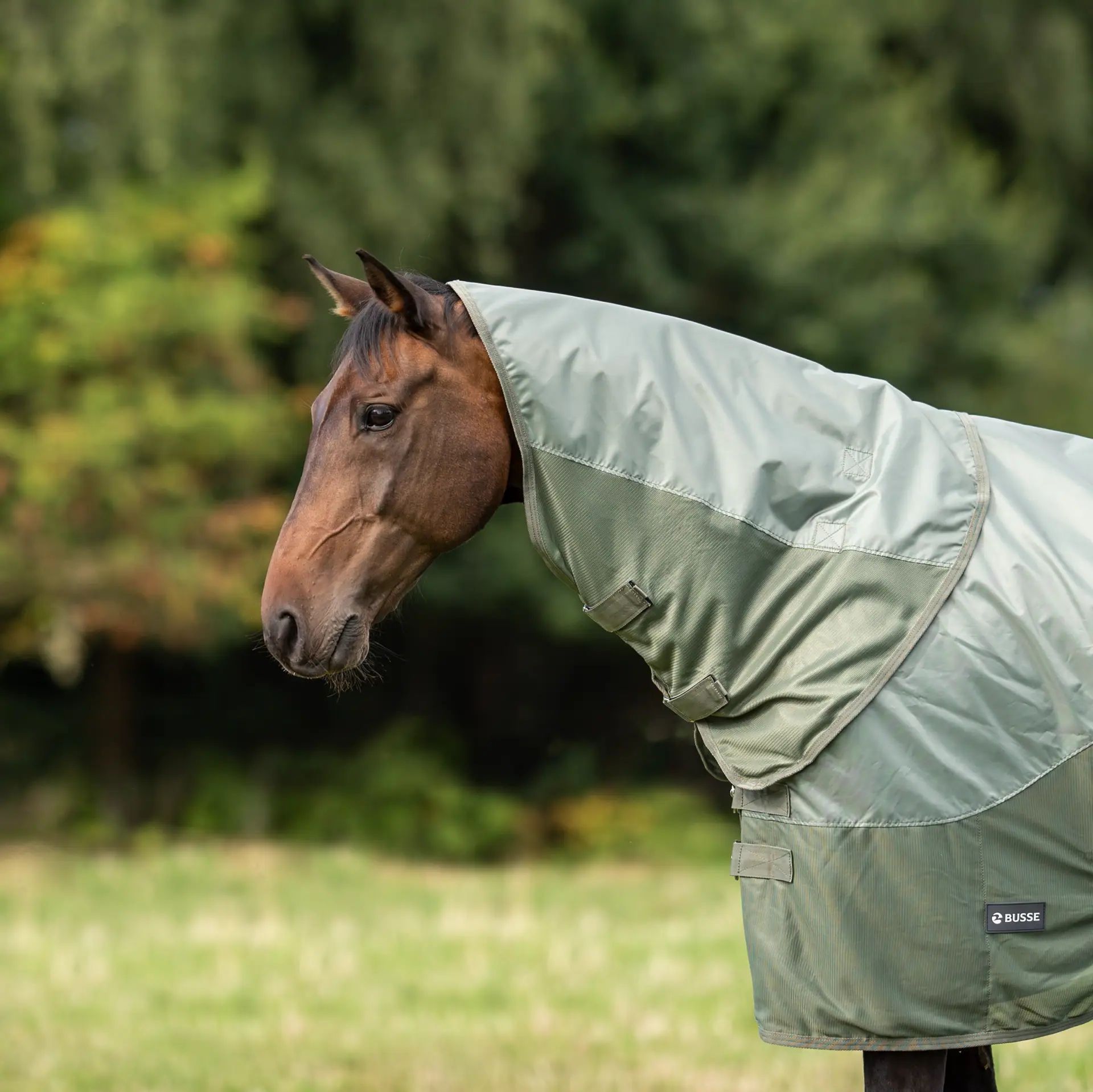 BUSSE RAINFLY nyakrész, kiegészítő paddock takaróhoz, light olive, S