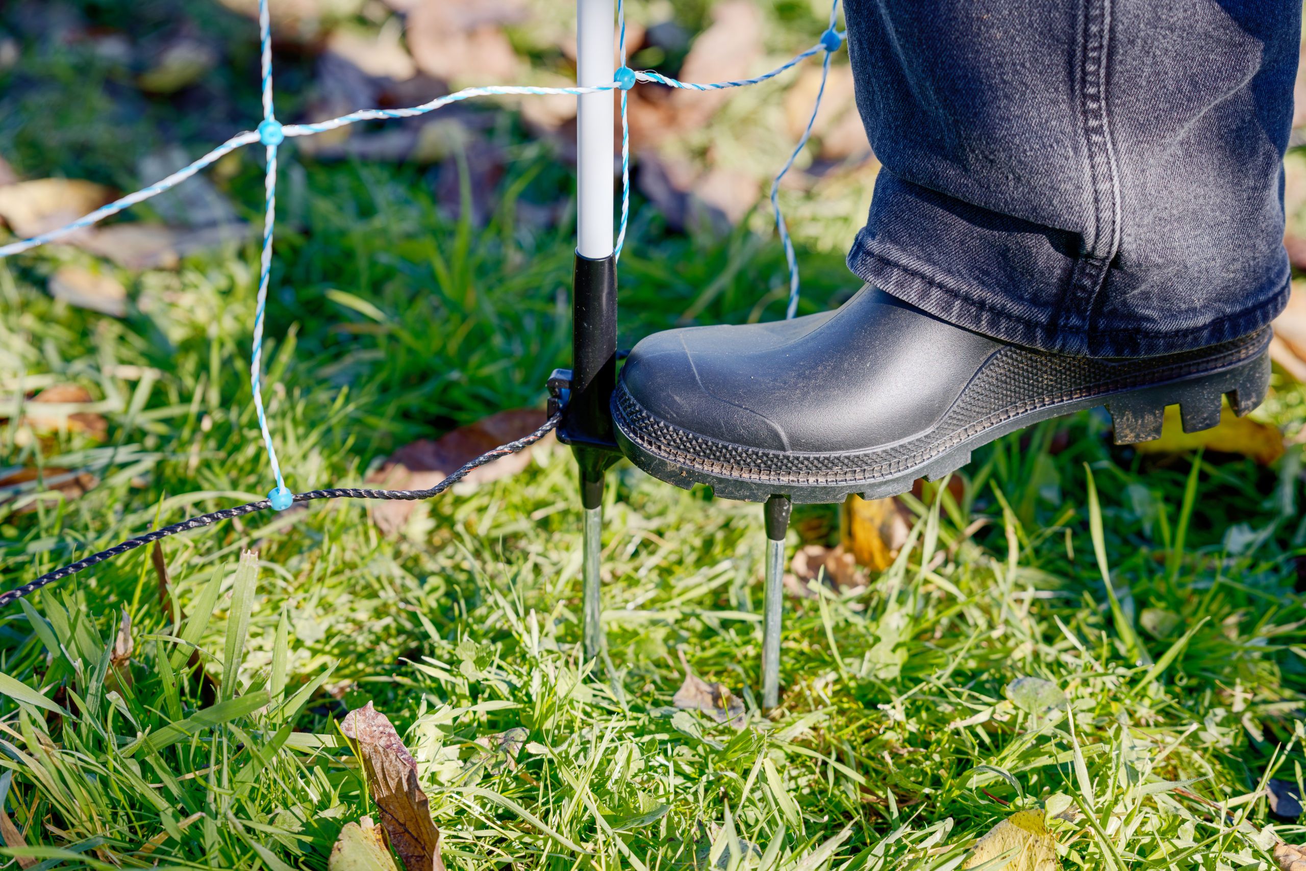 boot, rubber boot, footwear, grass, safety footwear