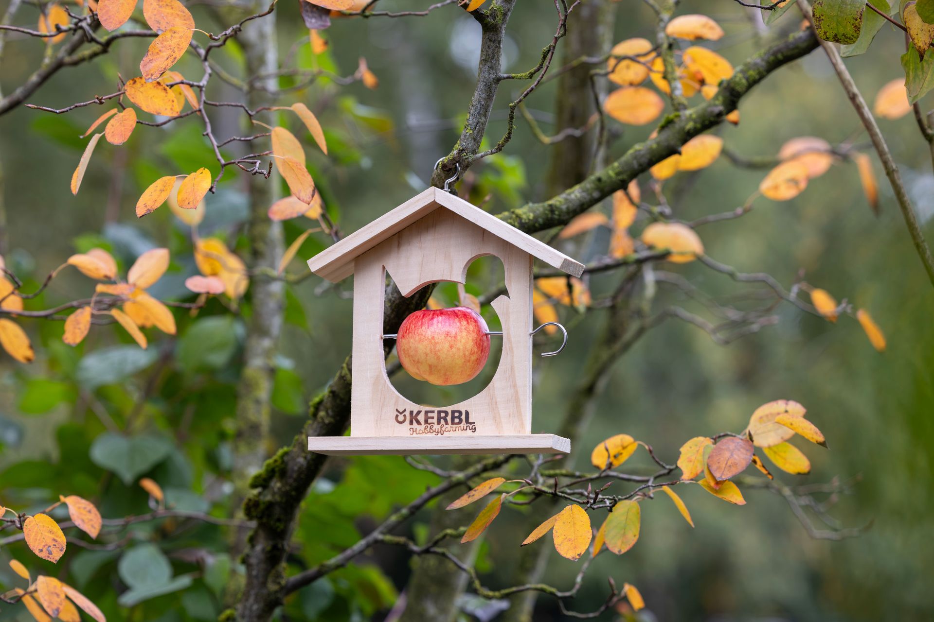 Kerbl Wooden Fat Ball Holder Solo with Metal Bracket, 18.5 x 6 x 19 cm, application example, in the stable
