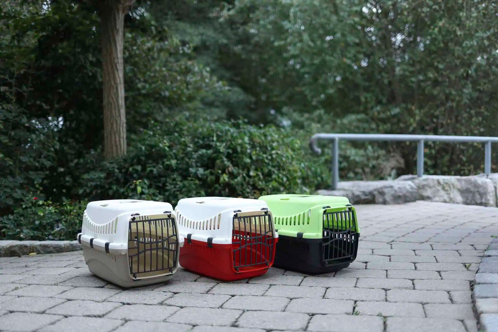 Kerbl Transportbox Expedion für Katzen & kleine Hunde, Farbvariante