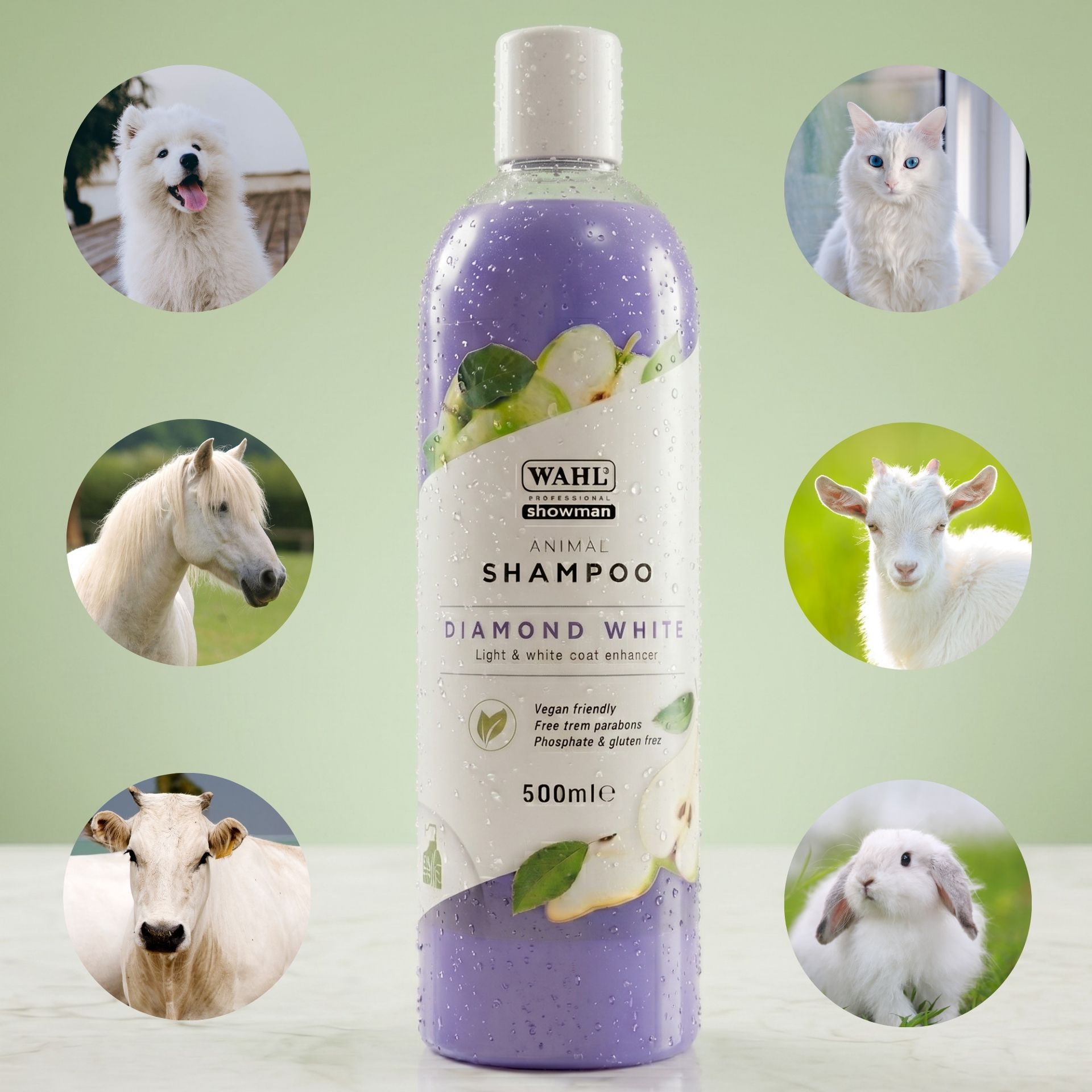 shampoo, tierisch, haustier, lavendel, diamond-white
