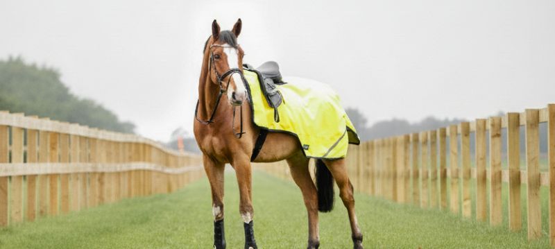 Accessoires réfléchissants pour chevaux