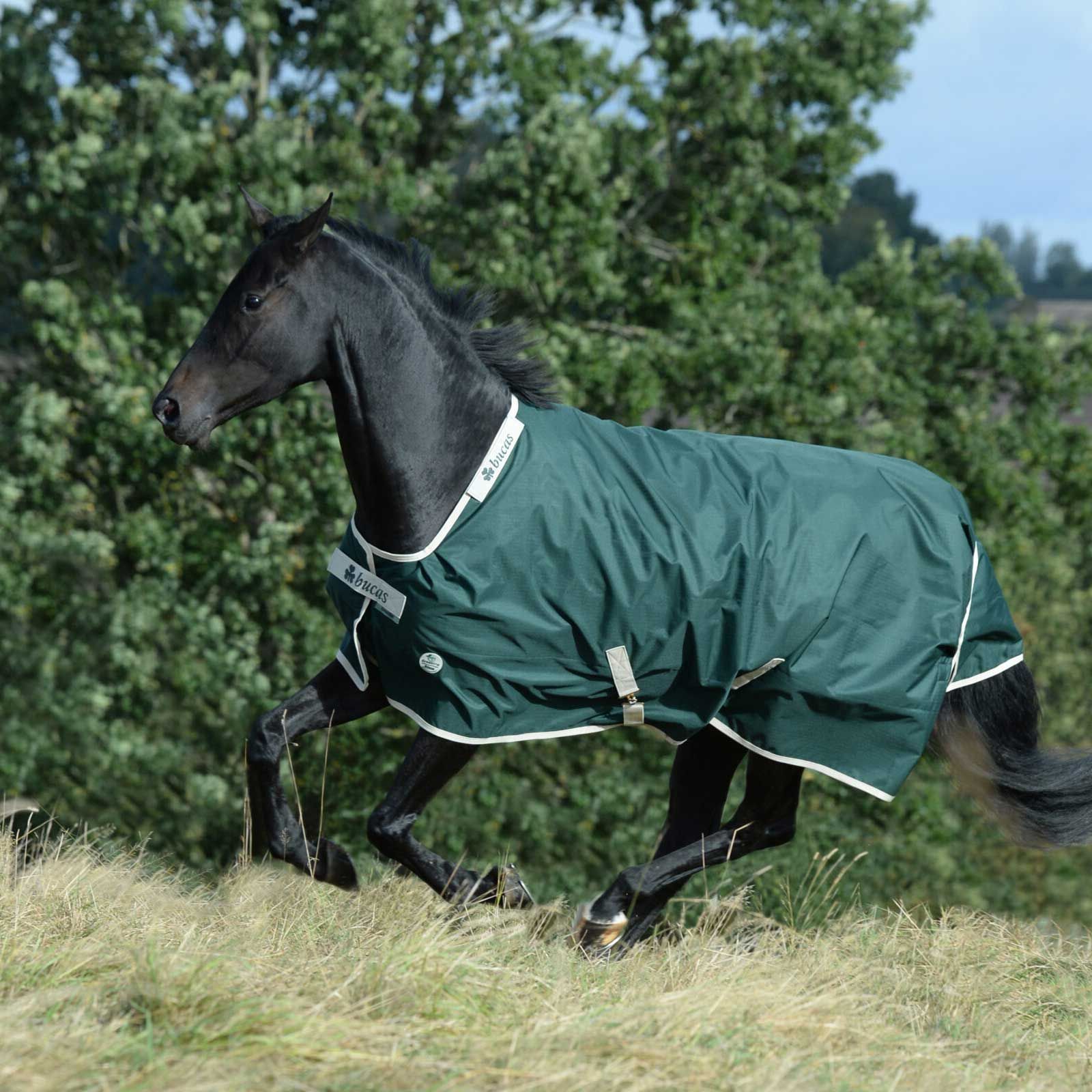 Couverture cheval Bucas Greenline Turnout 100g 130