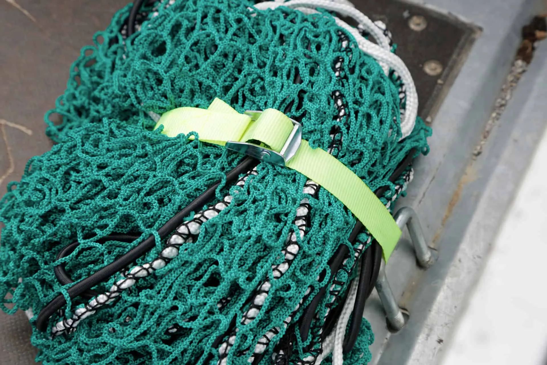 Kerbl Sangle de fixation rapide avec boucle de serrage, 125/250 kg, 6 pièces, détail, fermeture