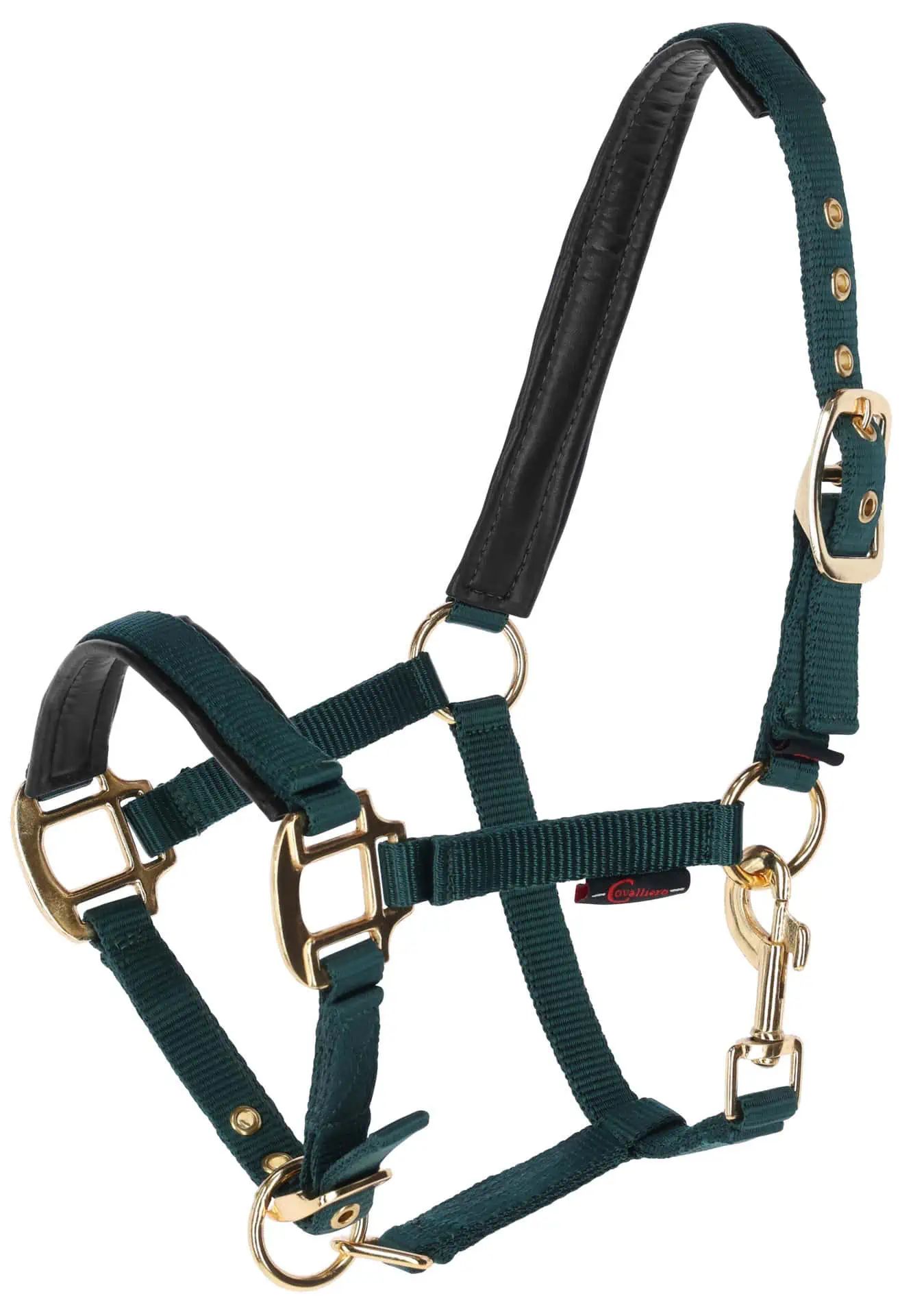 Foal Halter TopLine, forest