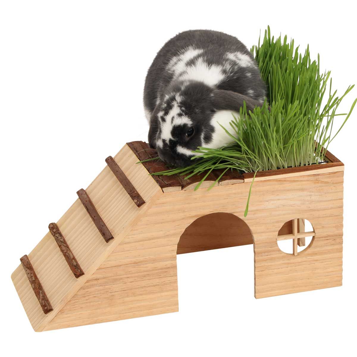 Kerbl Maison pour rongeurs nature avec rampe+ mangeoire intégrée