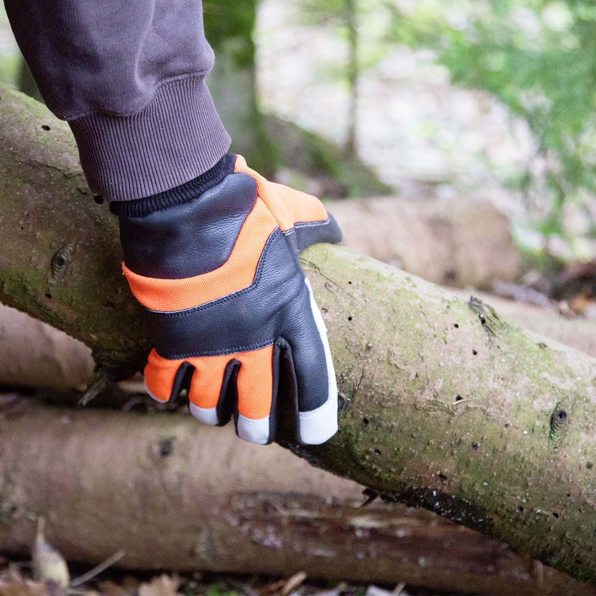 Kerbl Kettensägenhandschuh Forester, Schnittschutz links, 10/XL