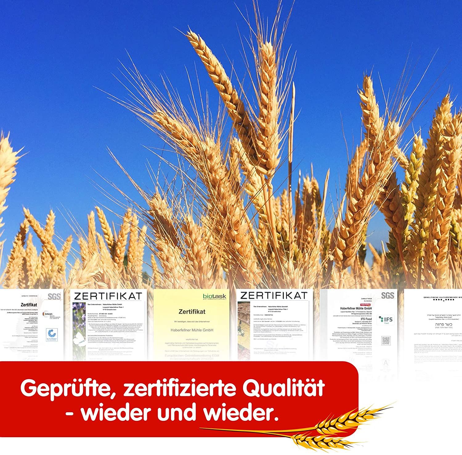 10 x 1 kg Haberfellner făină de grâu tip 550, DE 700, AT optimă, etichetă
