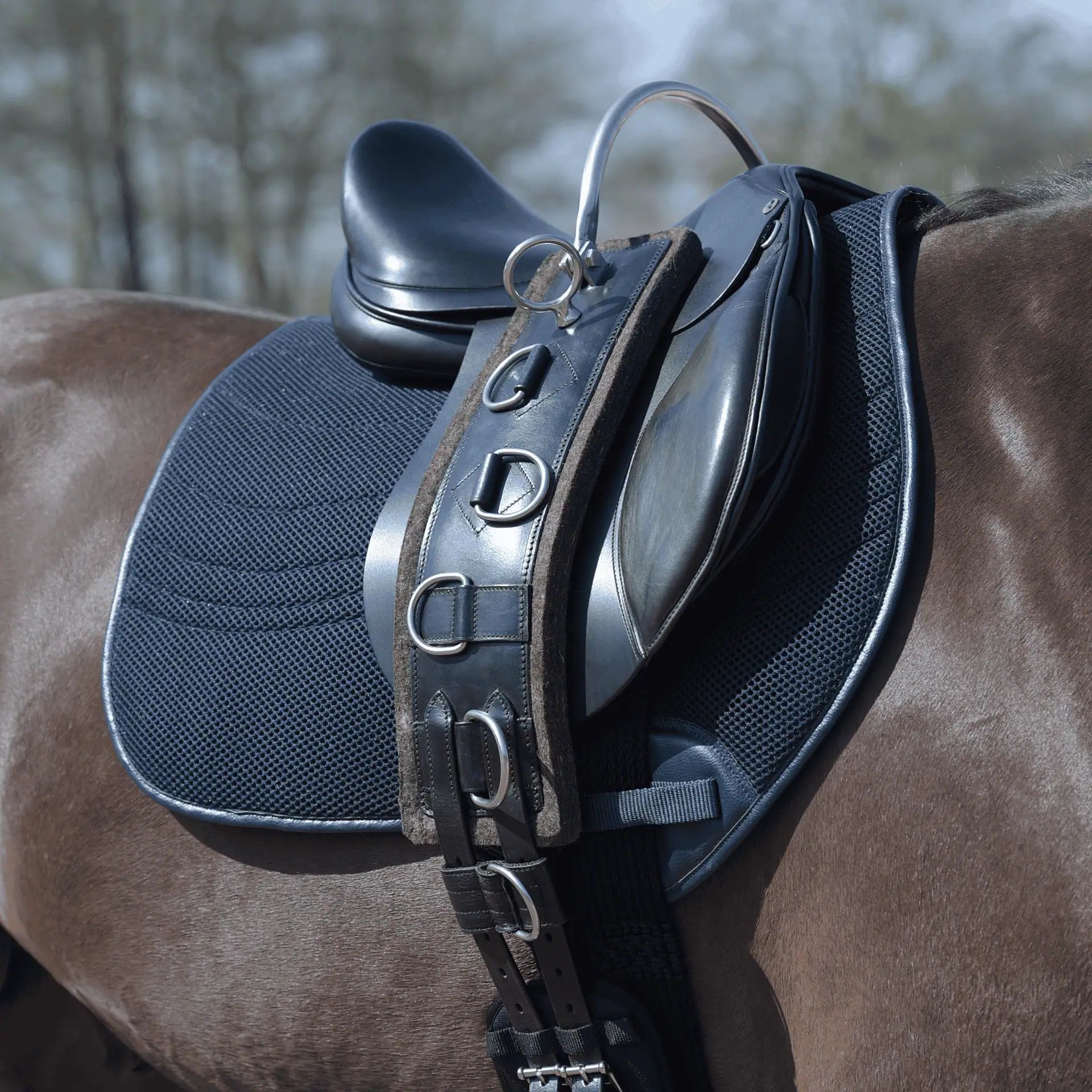 BUSSE Longiergurt FLEX FIT schwarz, flexibel anpassbar, Seitenansicht