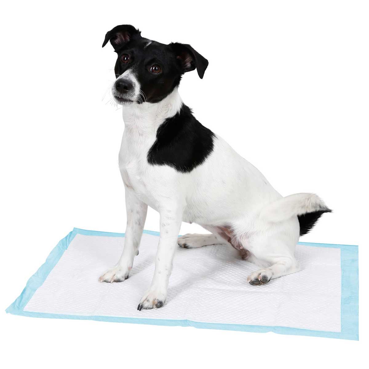 Kerbl Pet Absorbante pentru Dresajul Catelului 8 buc.