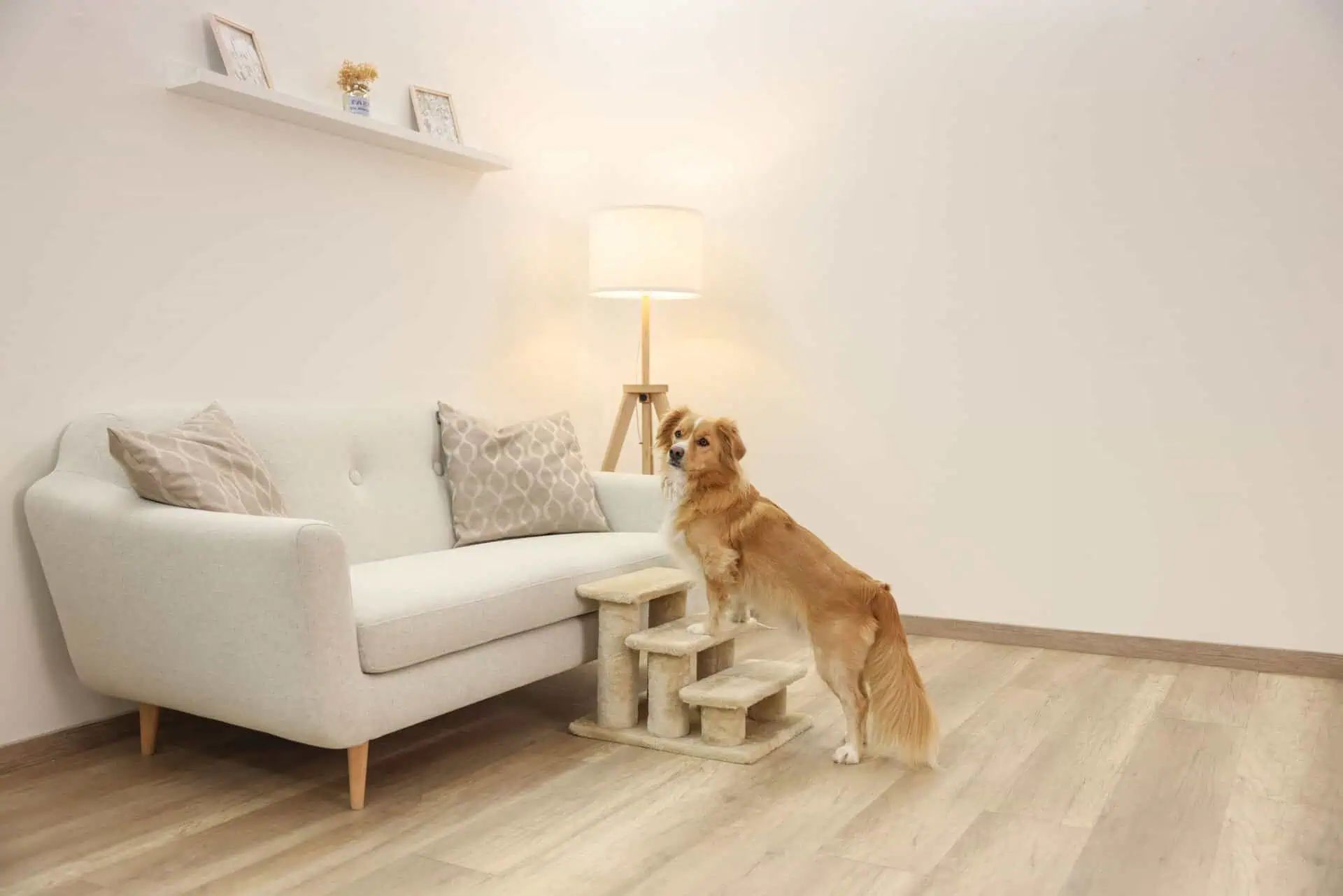 Escalier pour Animaux Easy Climb 2 avec Housse Peluche Chien & Chat
