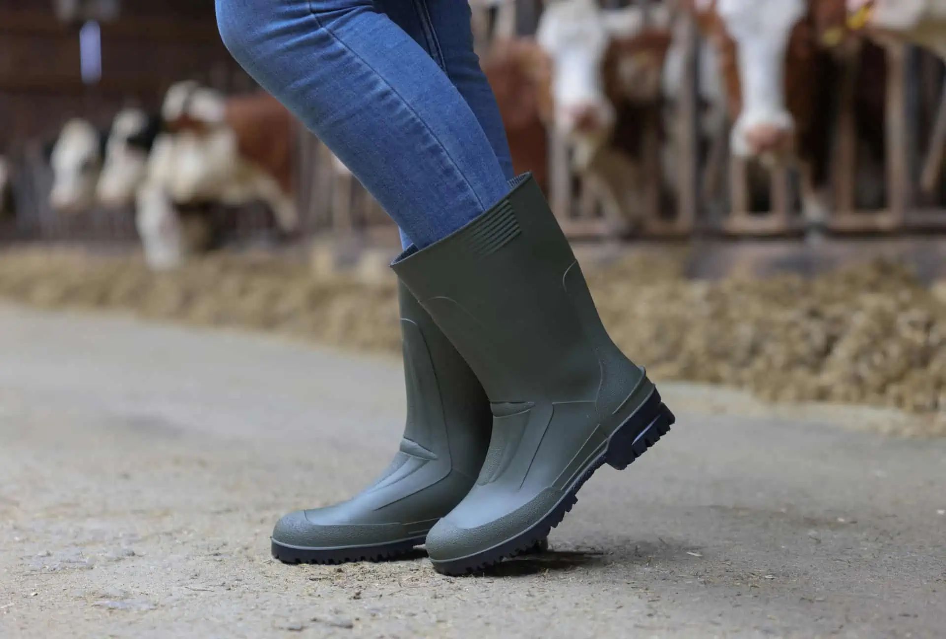 Bottes de travail PVC Kerbl IDRO LOW mi-hauteur, vert olive, en utilisation, à l'écurie