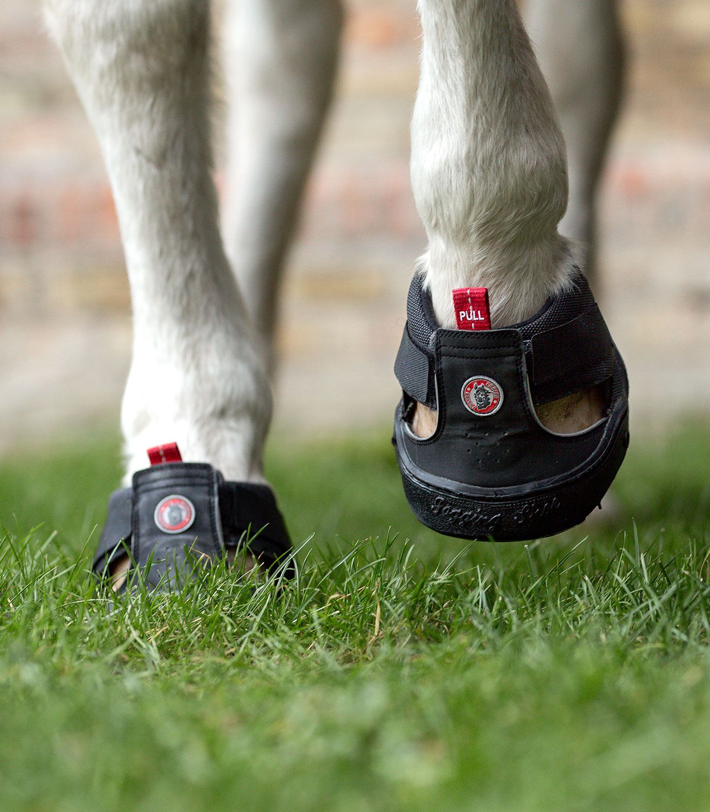Equine Fusion Cizmă de copită Trekking, talpă cu aderență și amortizare, în utilizare