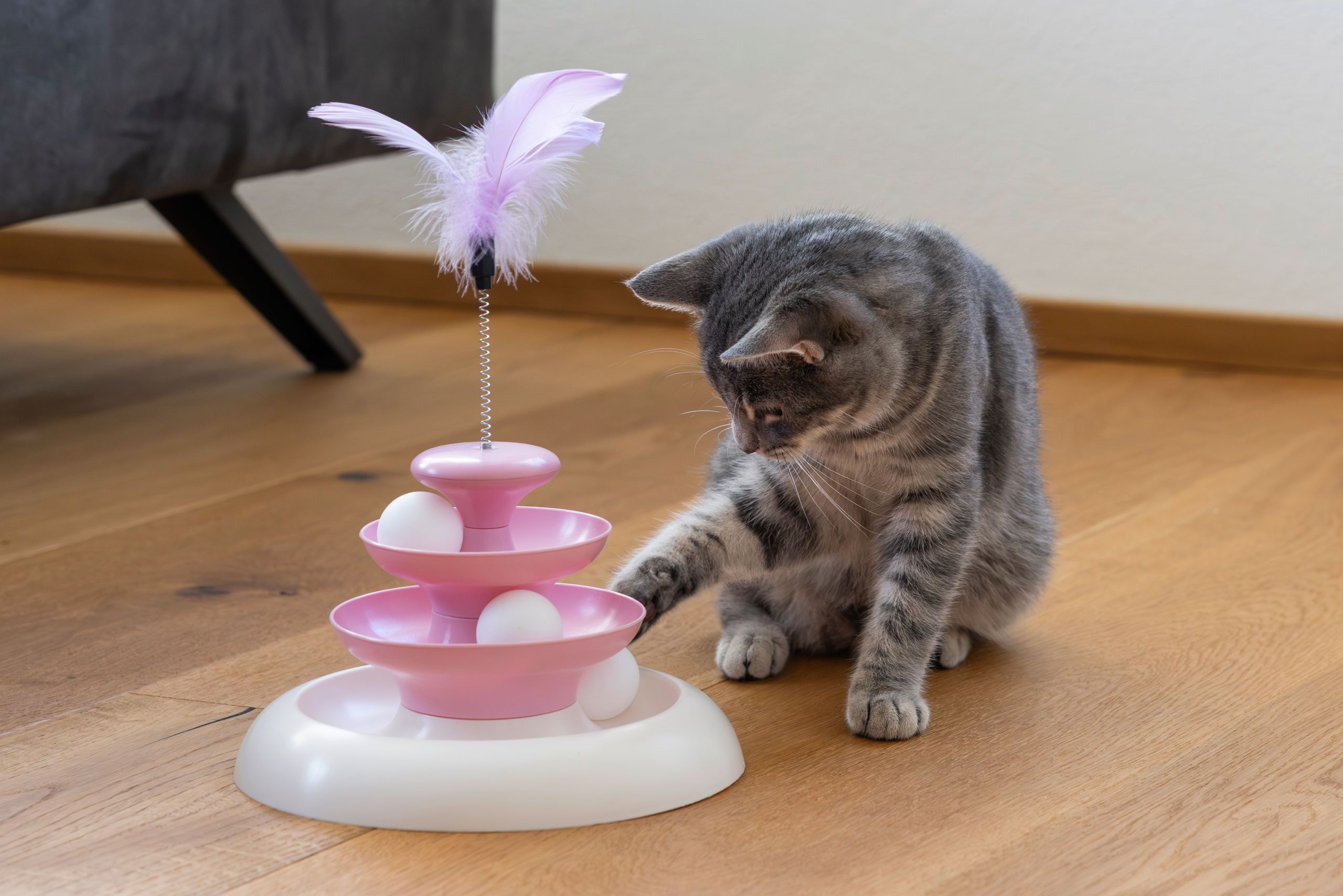 Kerbl Cloudi Cat Toy with 3 Levels, pink, 24 x 24 cm, in use