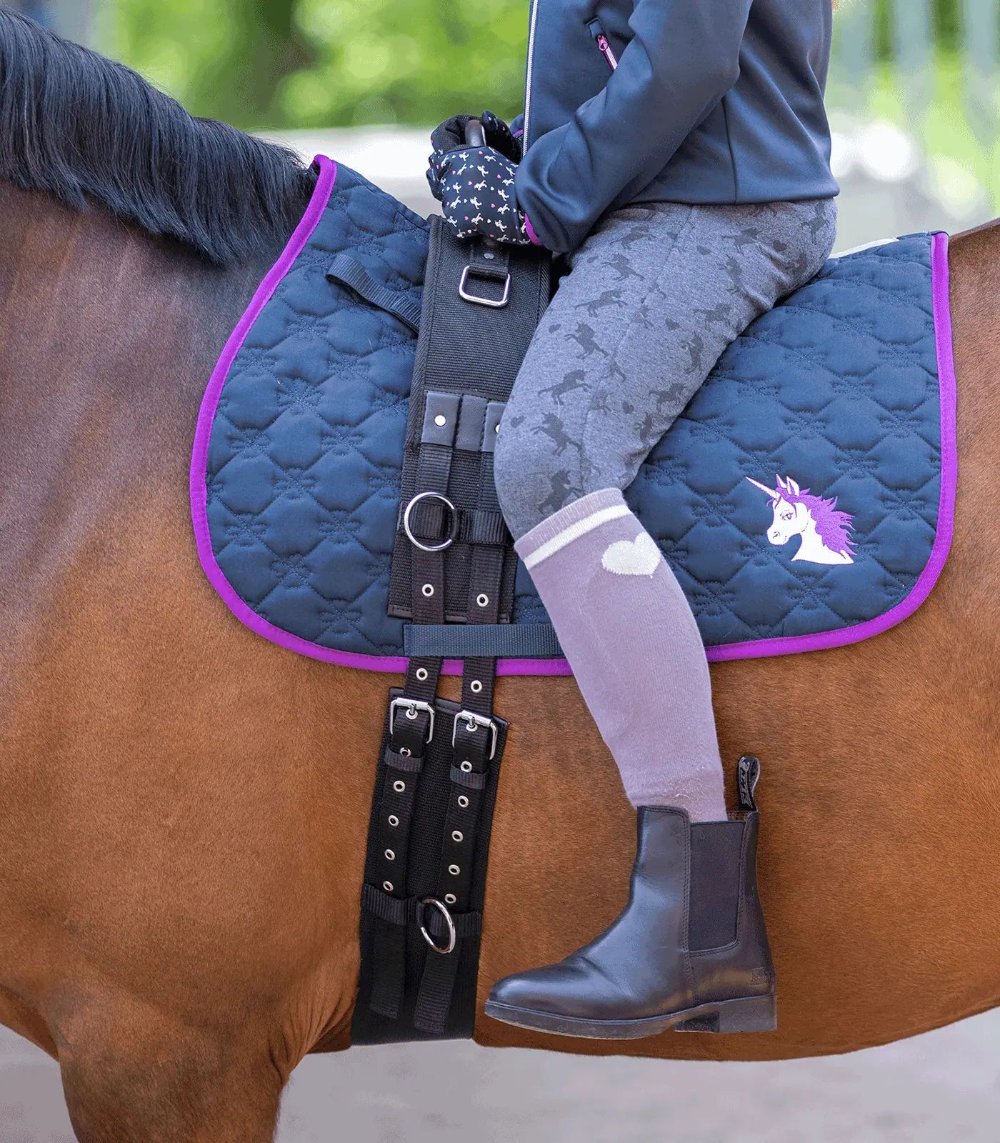 Surfaix STAR à poignée en cuir, synthétique, noir, pour longer sans selle, Cheval de selle
