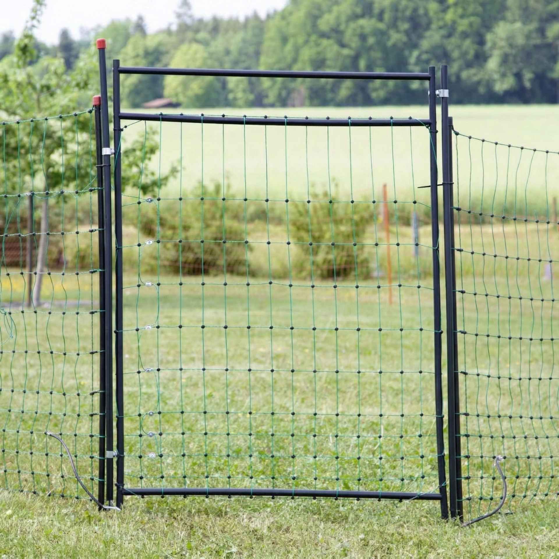 Filet poule Agrarzone Premium avec porte, en utilisation