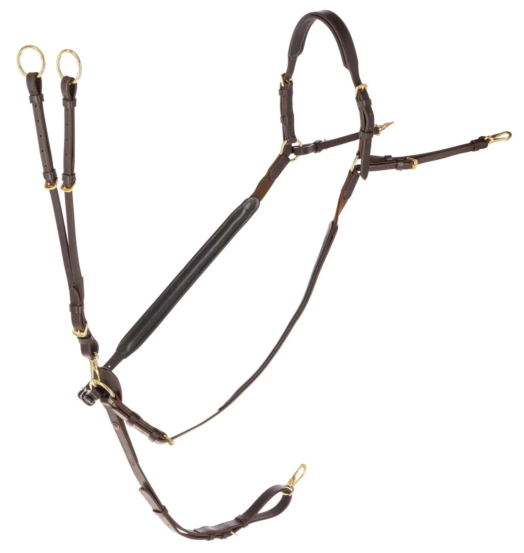 Covalliero Leather Breastplate, Anatomically Shaped