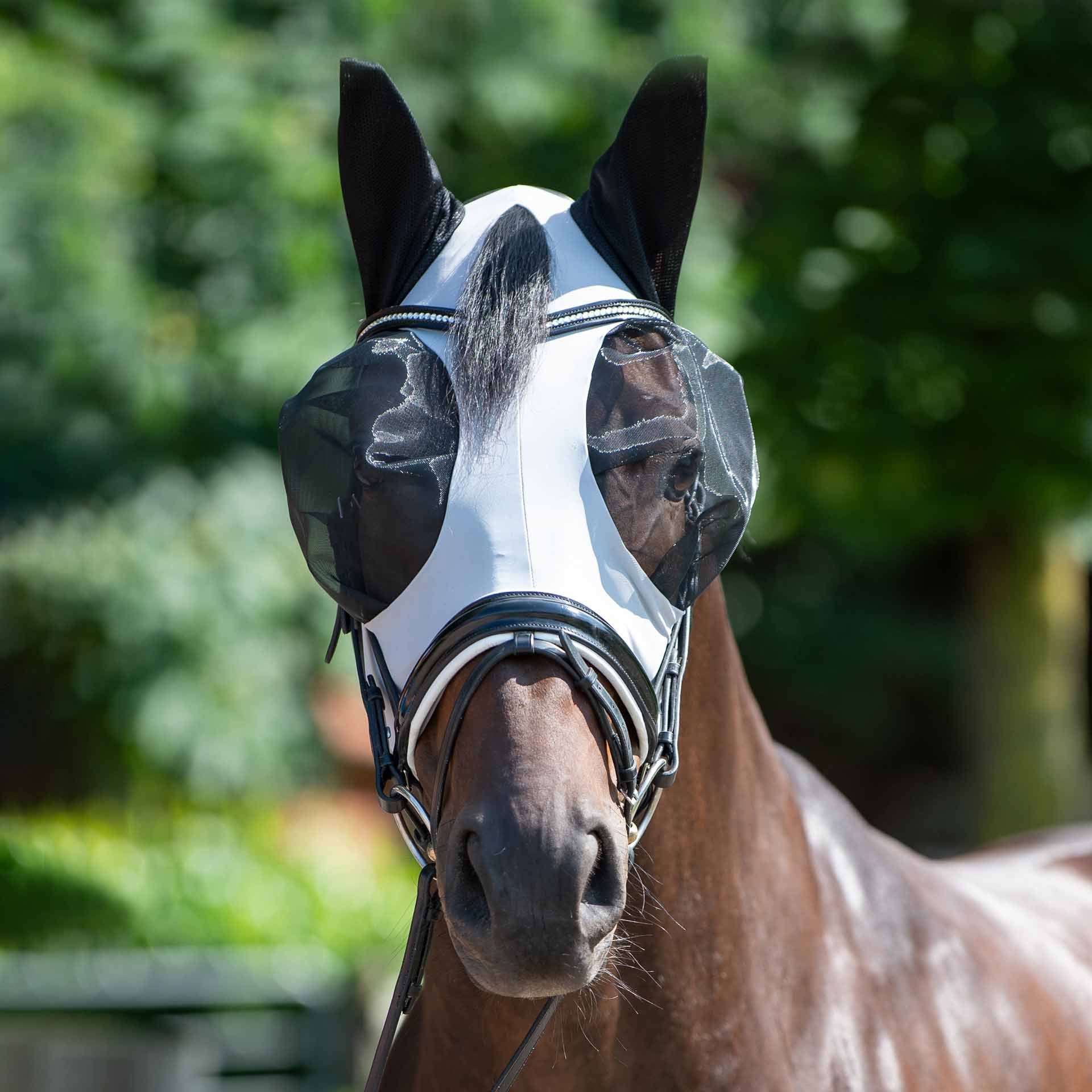 BUSSE flugmask TWIN FIT FLEXI, ögon- och öronskydd, i användning
