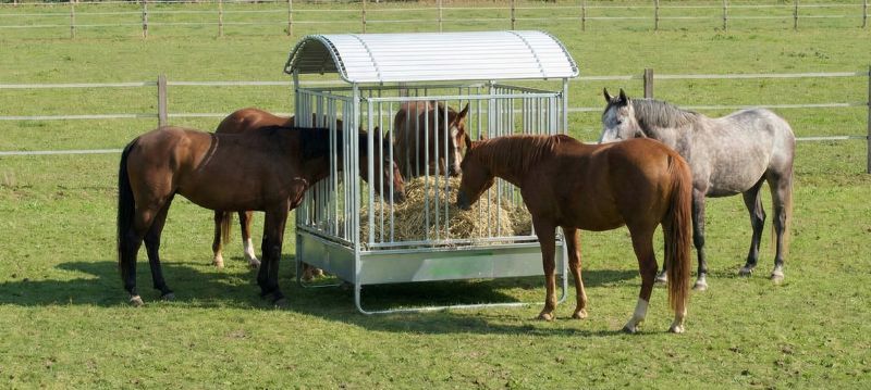 Hay Racks Horse