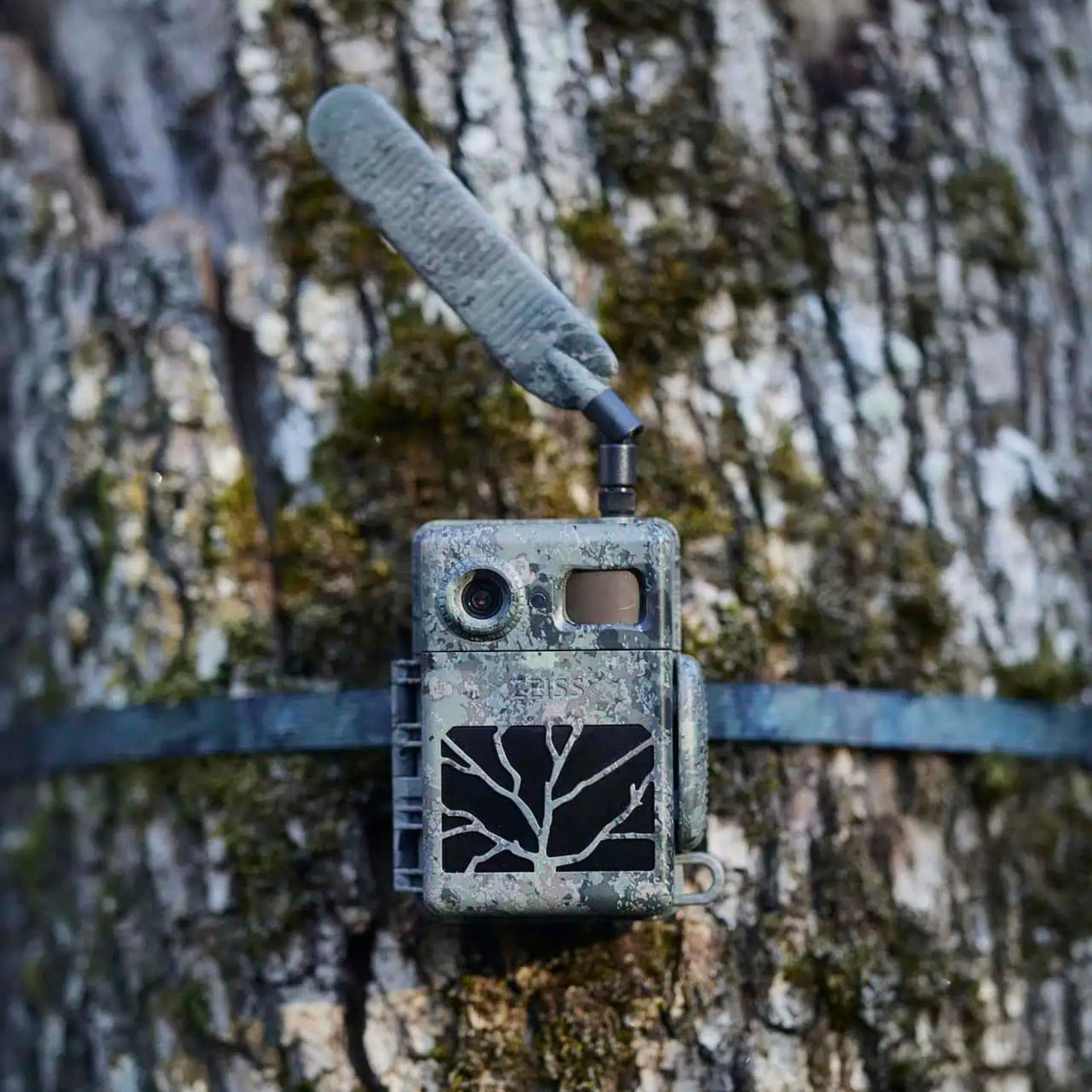 ZEISS Secacam 7 Wildkamera mit LTE, App & Nachtsicht, Anwendungsbeispiel