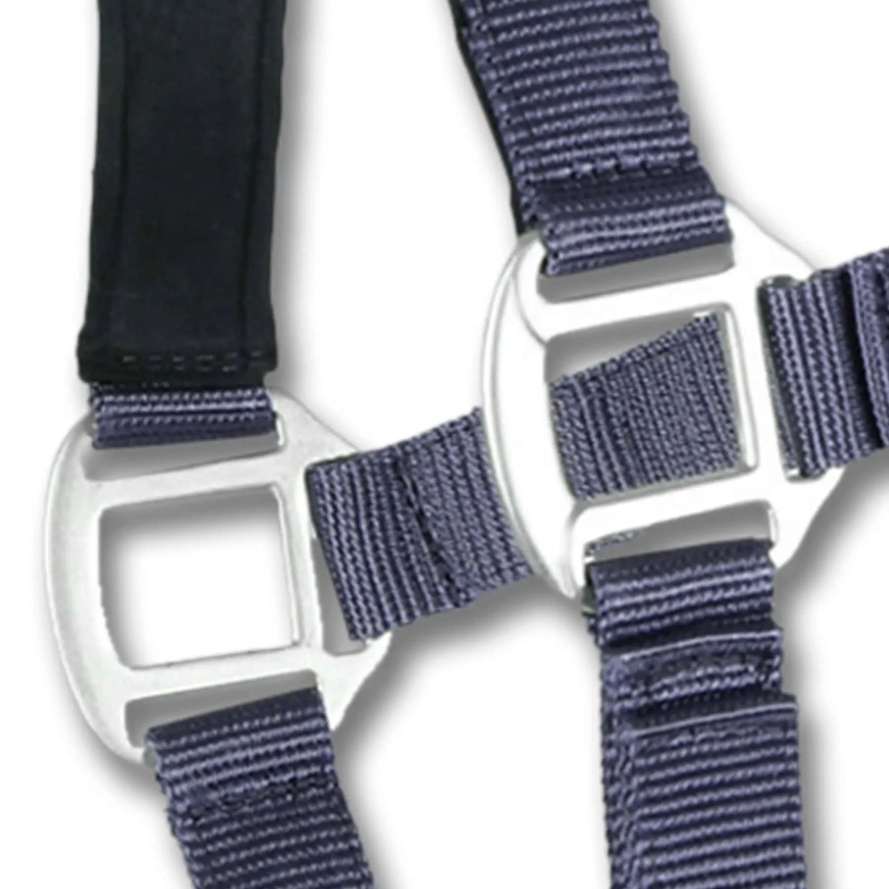Waldhausen Perlonhalfter Satin, weich unterlegt & verstellbar, blau, COB