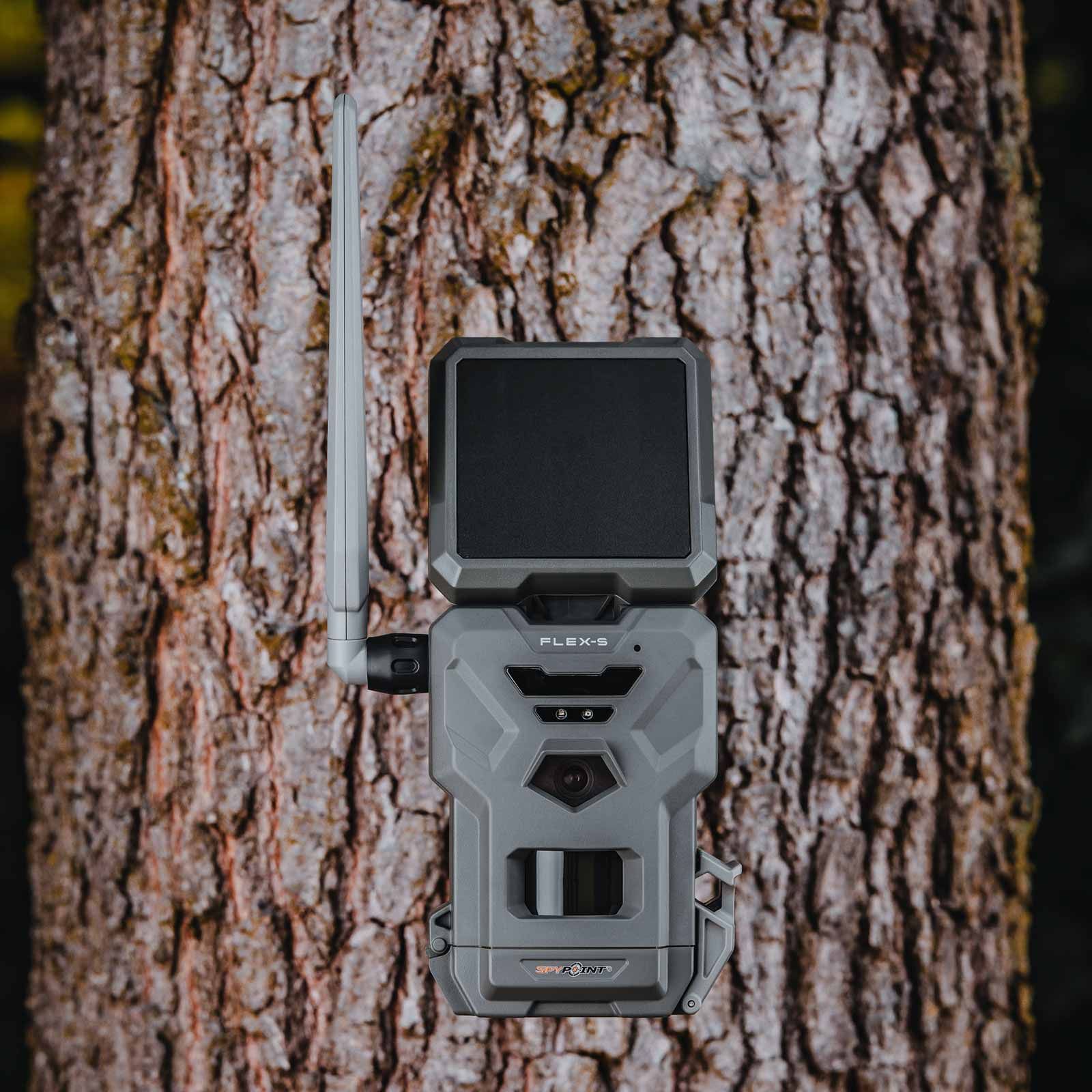 Spypoint Wildkamera FLEX-S mit Solarpanel, 36 MP, LTE, im Einsatz