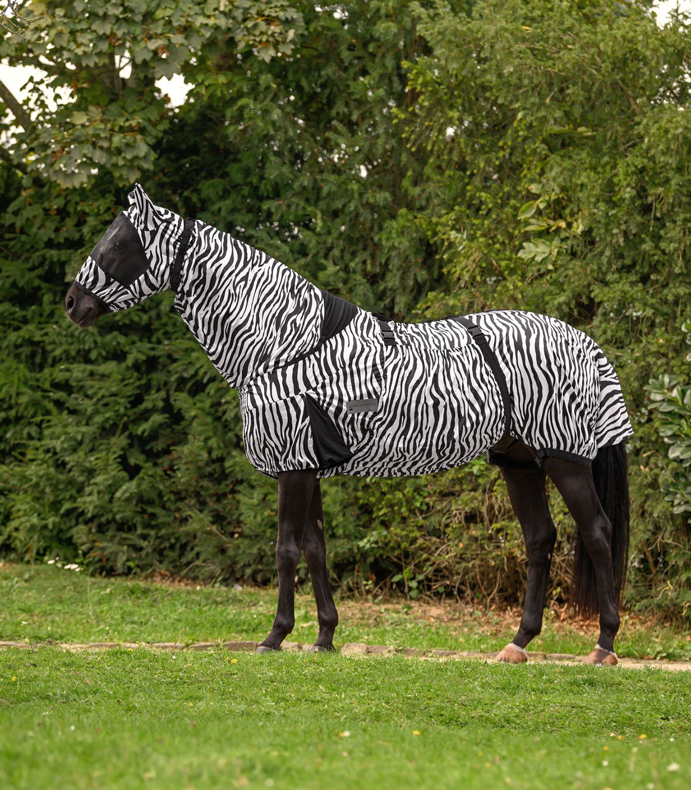 pferd, zebra print, pferdedecke, pferdedecke, camouflage-muster