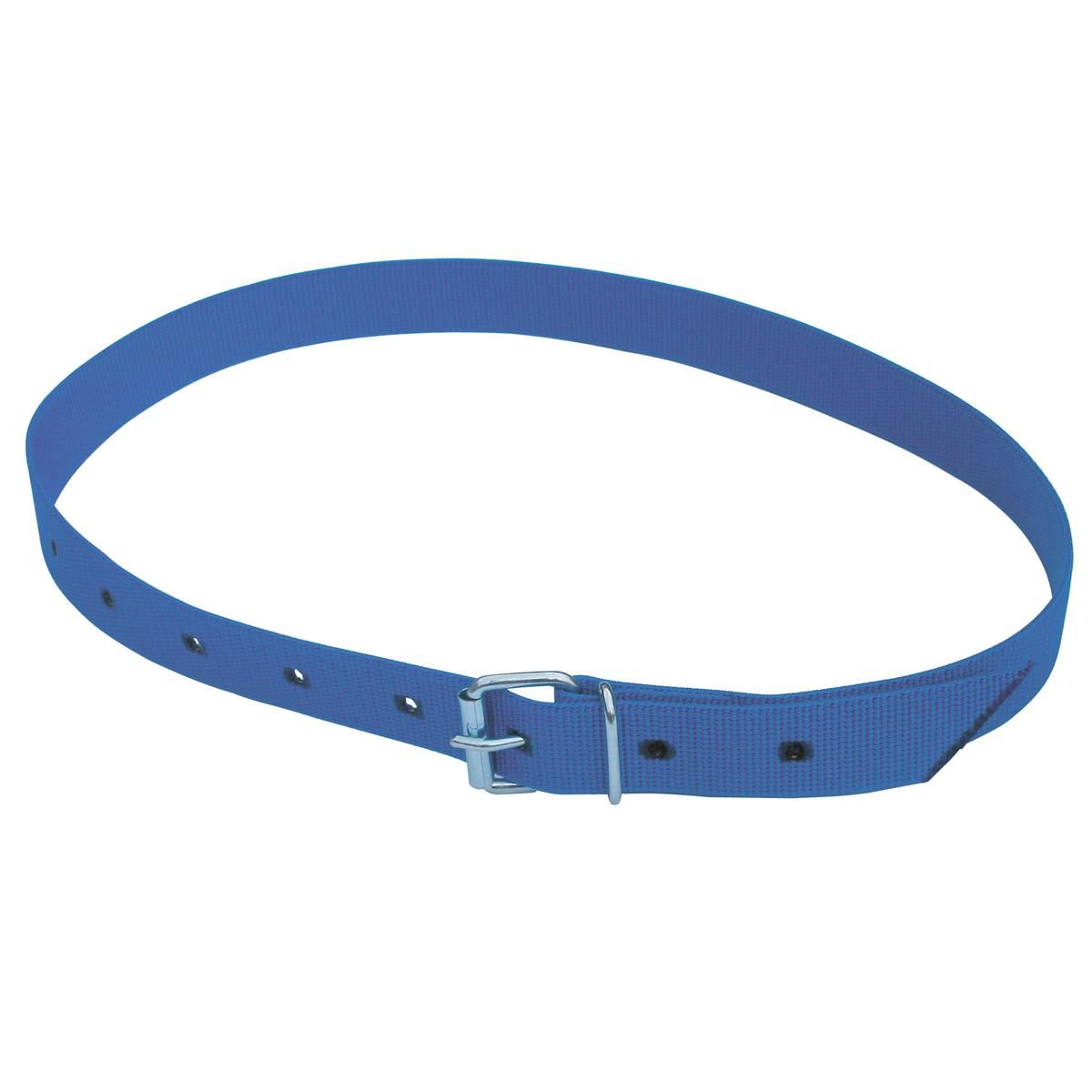 Kerbl Halsmarkierungsband für Rinder, UV-stabiles PP-Gurtband, mit Rollschnalle, 135 cm grün/weiß