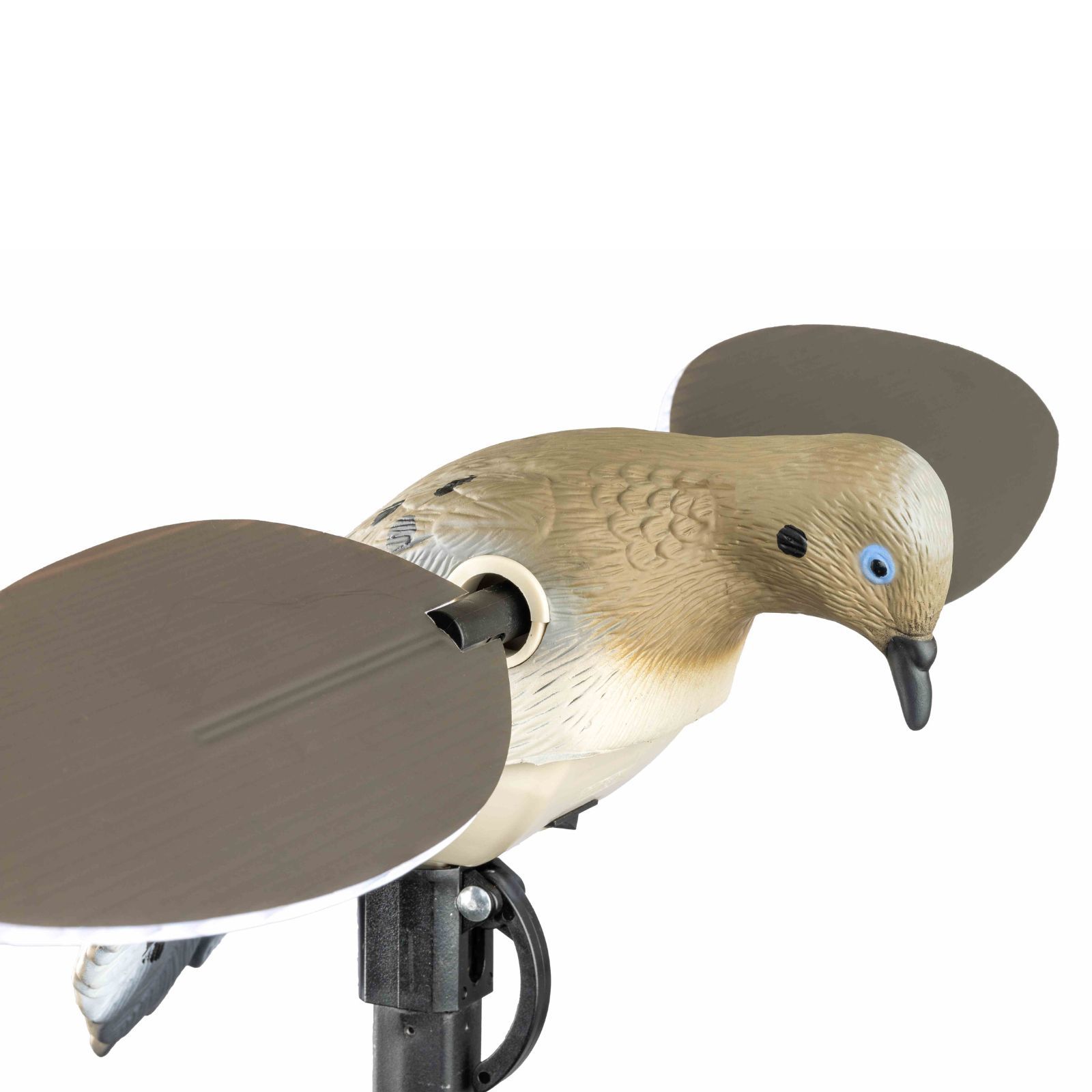 Mojo ES Dove Taubenattrappe, Detailansicht