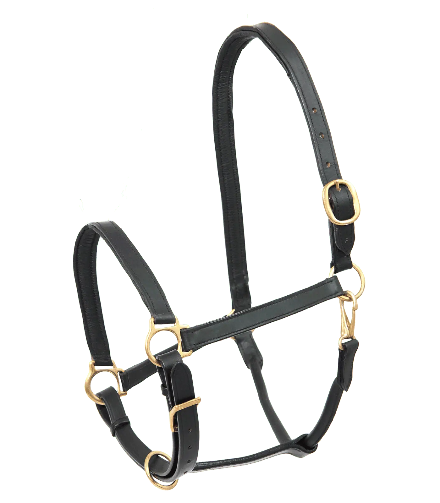 Licol en Cuir STAR Robust, Cheval, Noir, Boucles Laitonnées, Cheval de selle/Full
