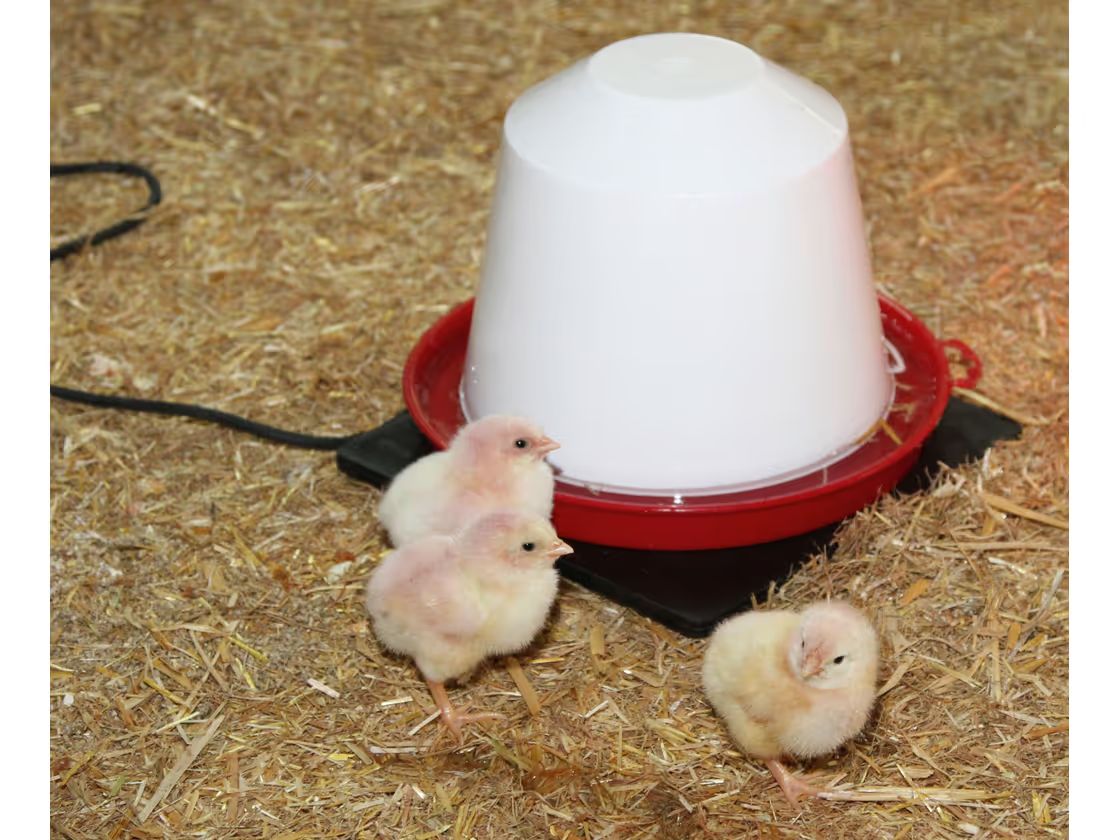 Kerbl Gummiheizplatte für Hühner- und Kleintiertränken