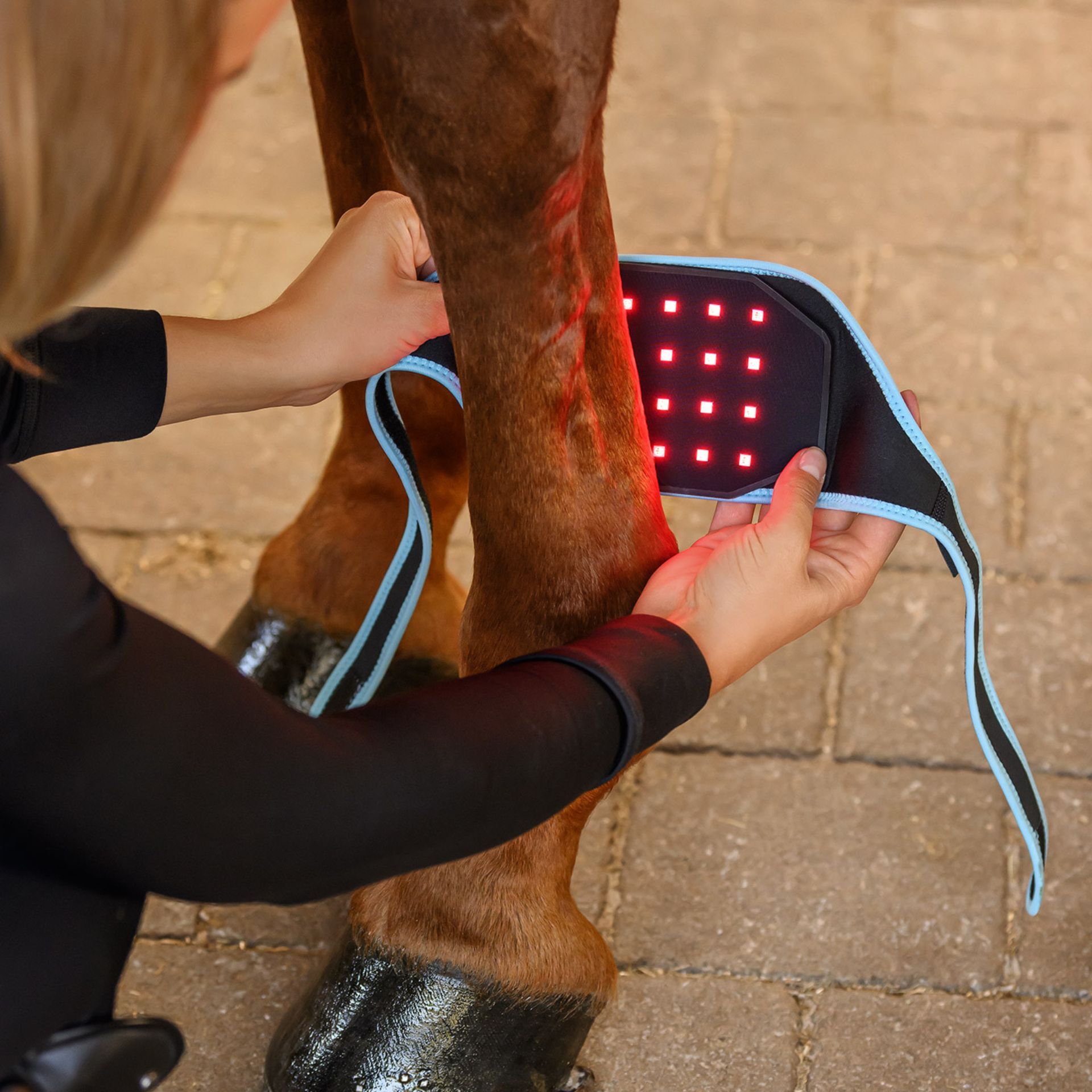 horse, leg wrap, leg bandage, therapeutic, stretcher?