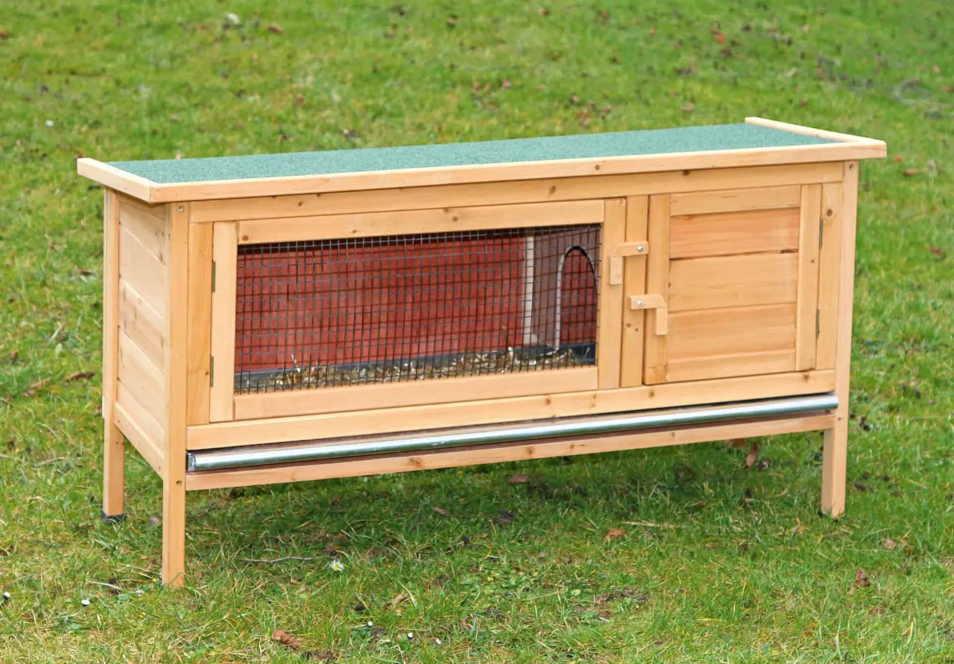 Kerbl Kaninbur Alfred, Gnagarbur 116x45x62 cm med två dörrar, i användning, på hagen