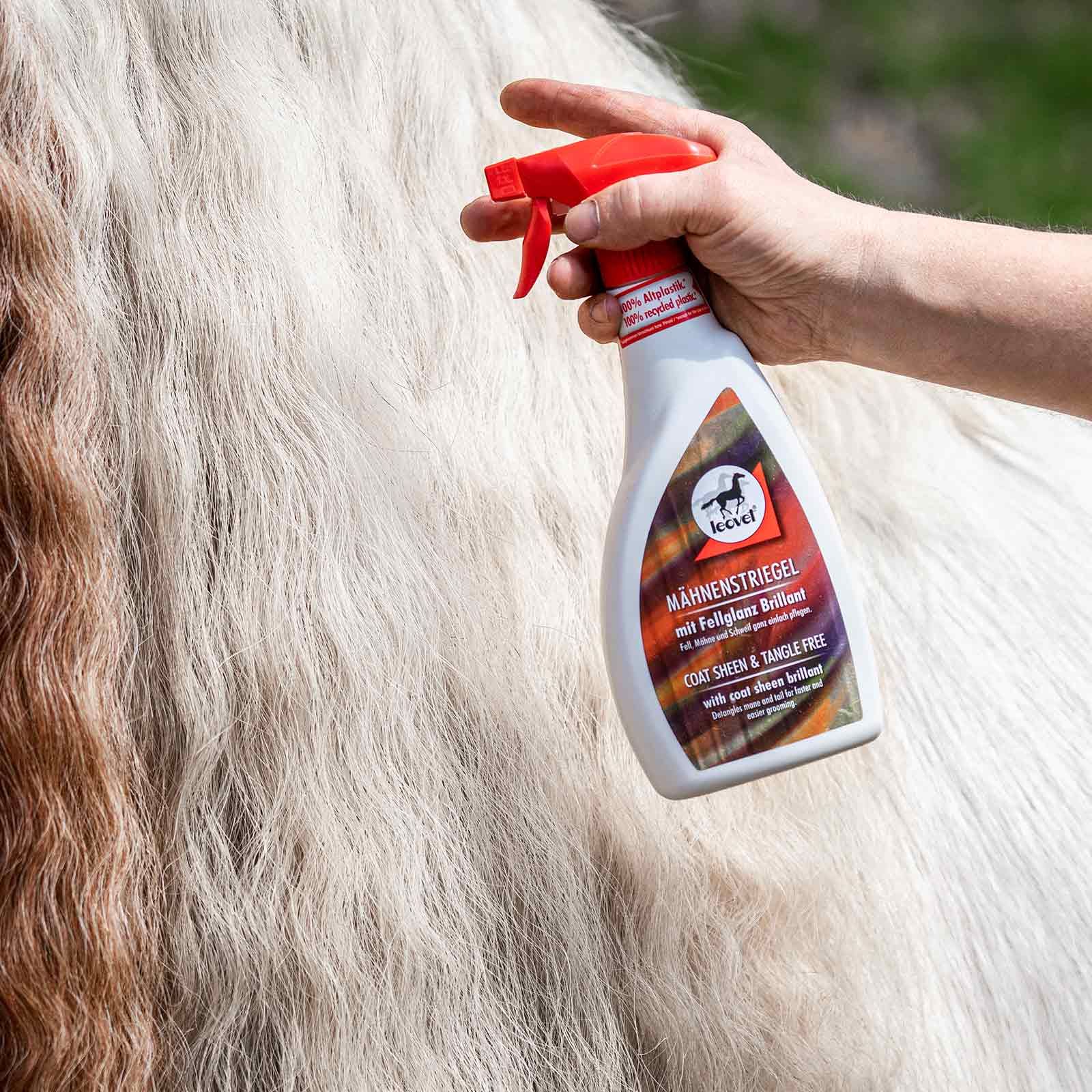 Leovet Mähnenstriegel Mähnenspray mit Zedernholzöl, 550 ml, im Einsatz, in der Hand