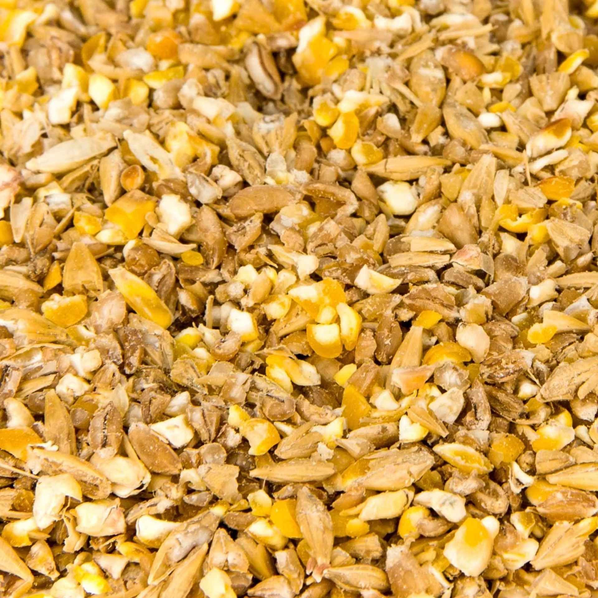 mixed grains, corn kernels, yellow, sesame?, crushed oats