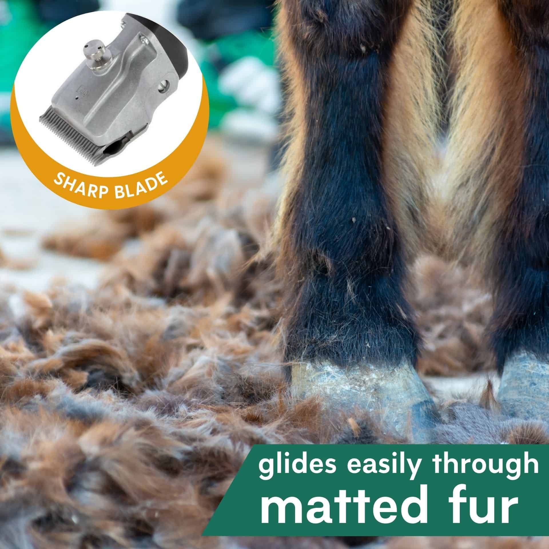 Aesculap Bonum Cordless Horse Clipper Pink with TORQUI Adjustment Tool, application example, leg