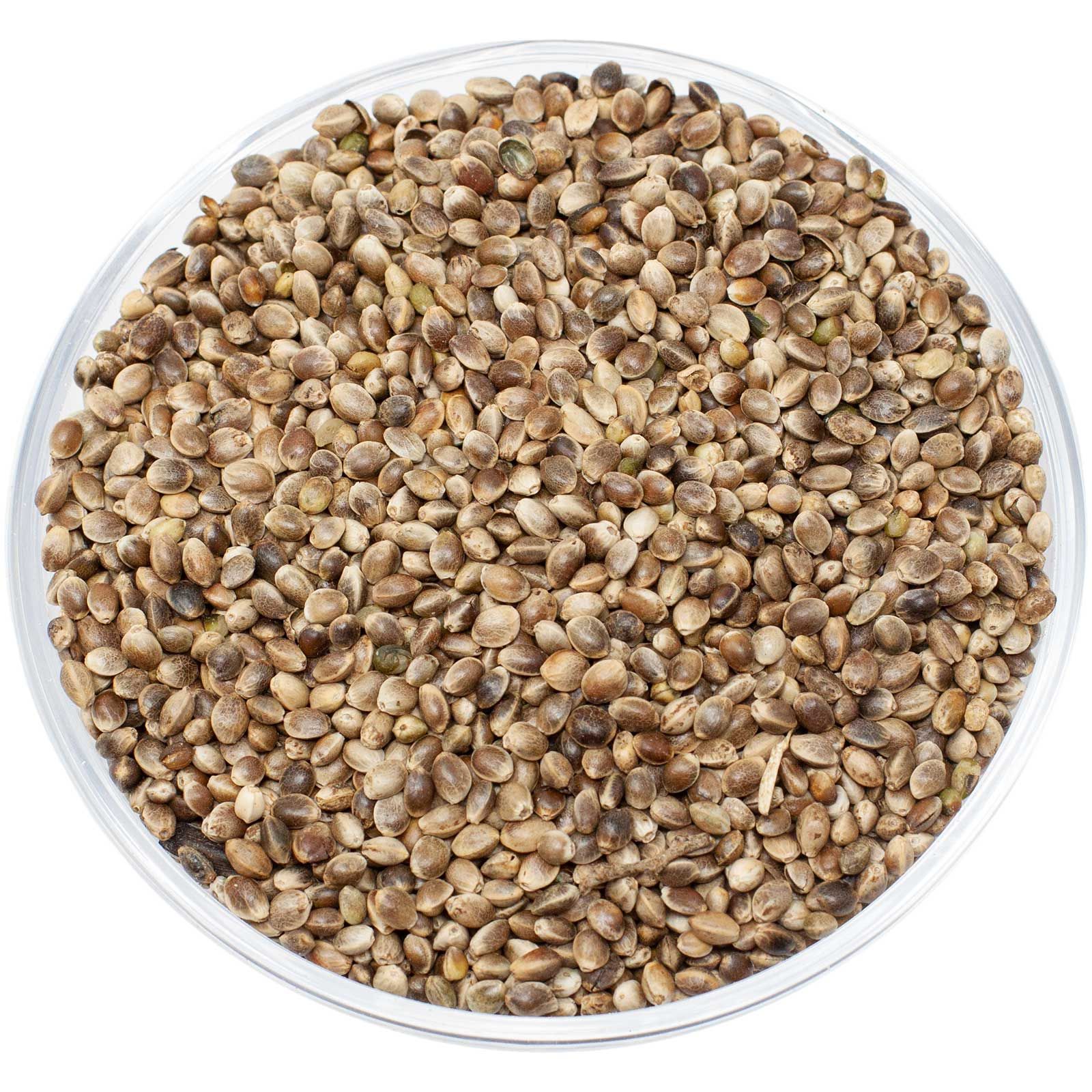 Leimüller Hanfsaat europäisch 20 kg