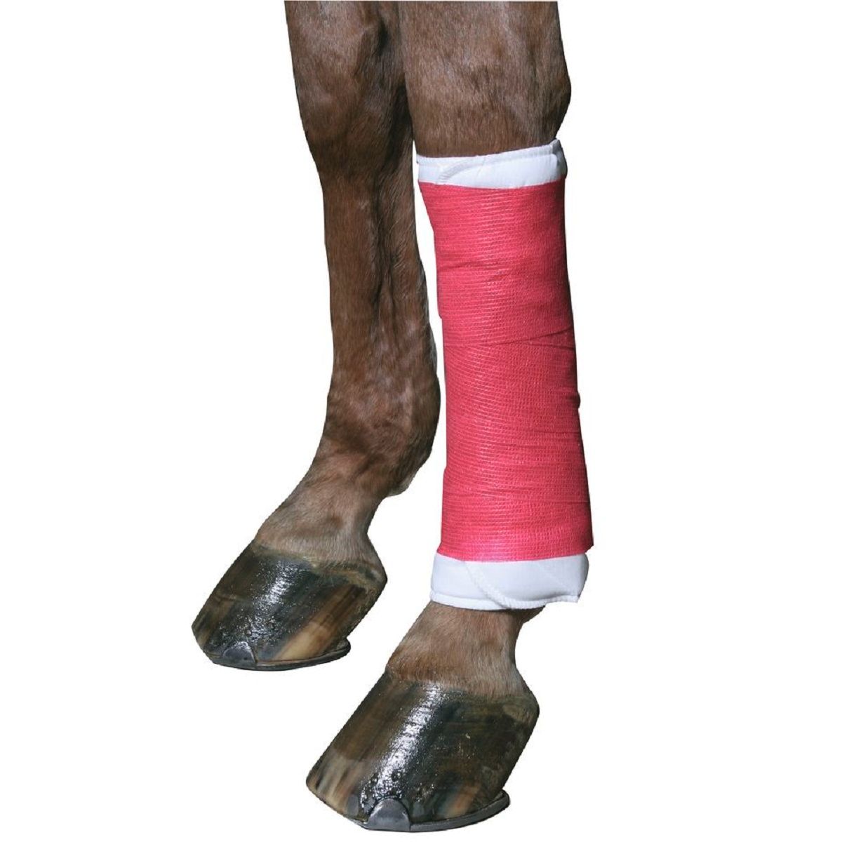 Kerbl Selbsthaftende Bandage EquiLastic Pferd 10 cm, im Einsatz, Bein