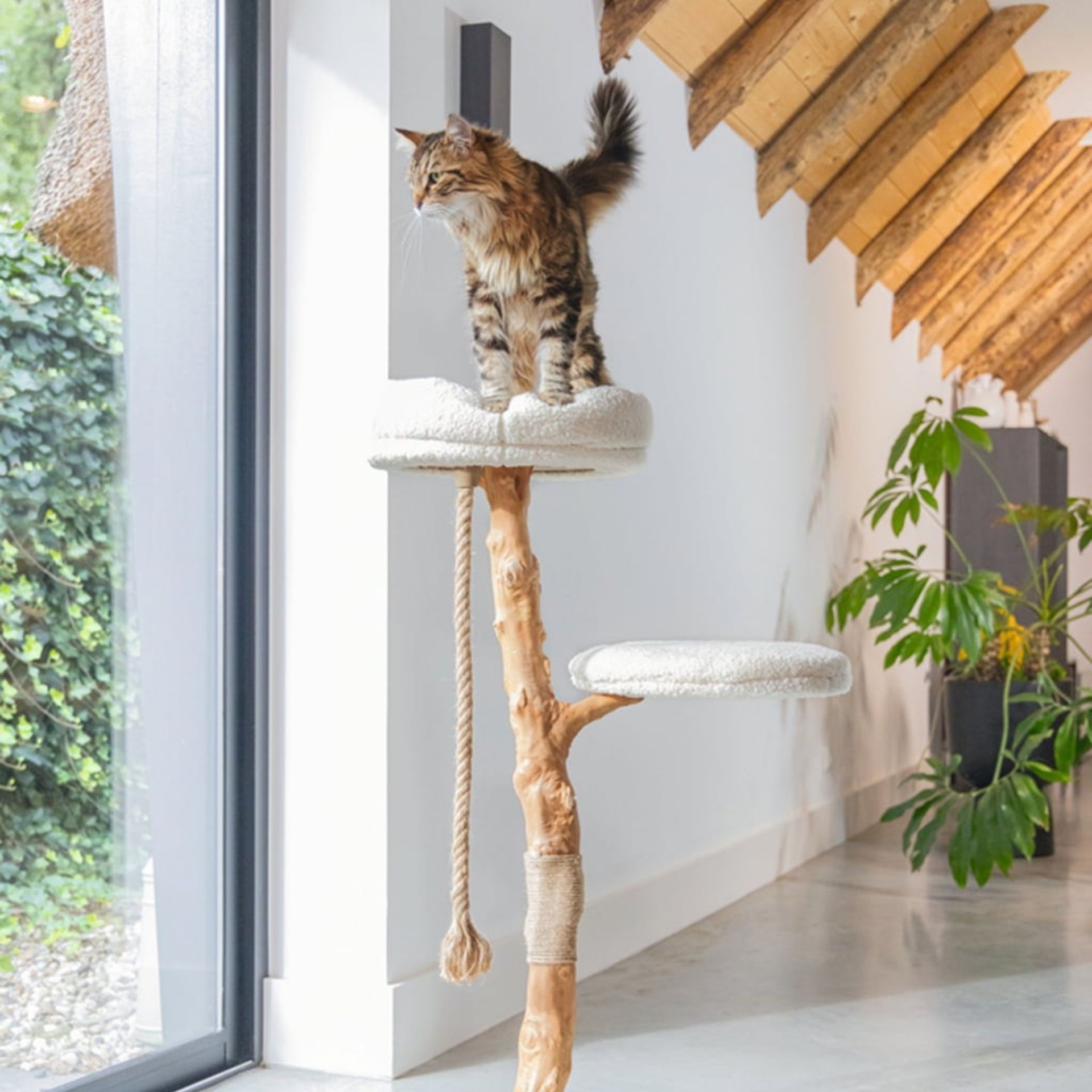 Designed by Lotte Holz-Kratzbaum Vilja 110x50 cm, im Einsatz, im Wohnraum