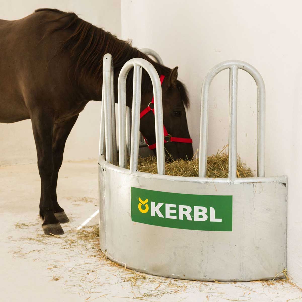 Râtelier rond Kerbl pour chevaux, 8 places, galvanisé, en utilisation, au pré