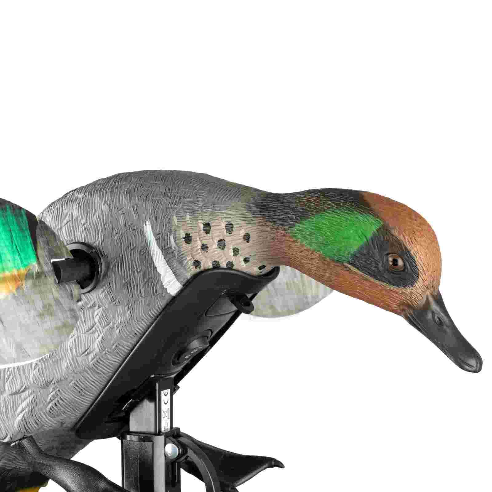 Mojo ES Green Wing Teal Vogelattrappe, Detailansicht