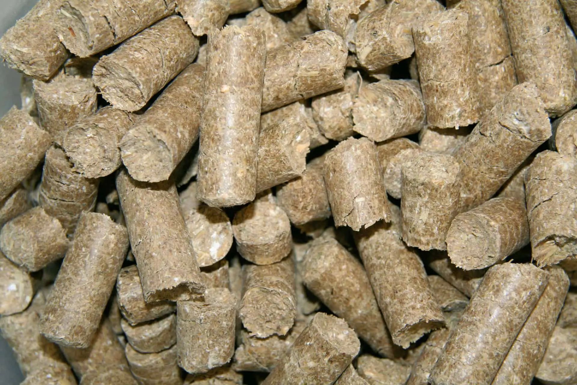 Kerbl Delizia Pferdeleckerli Karotte, Belohnungswürfel 1 kg, 1 kg
