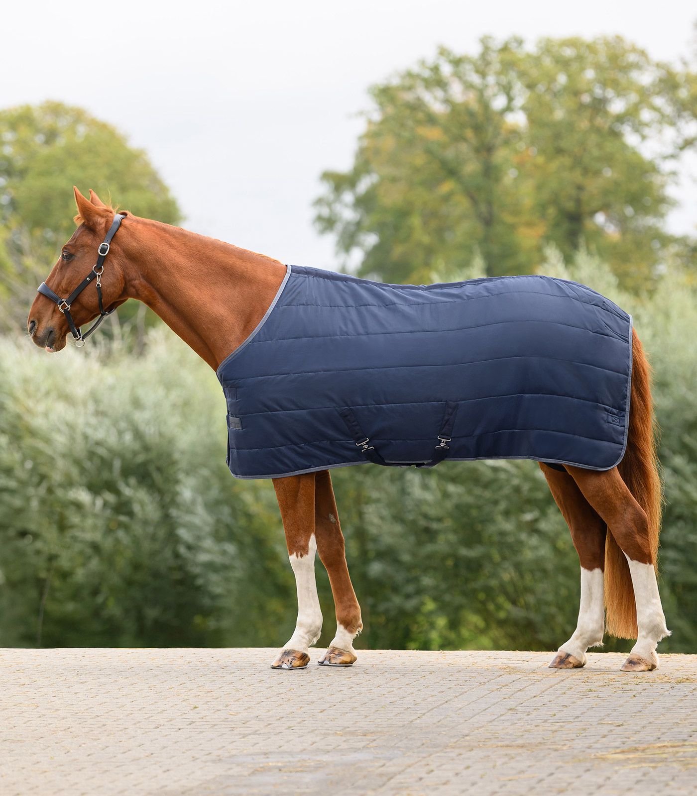 Waldhausen ECONOMIC Stalldecke 300 g, warme Thermofüllung für den Winter, nachtblau