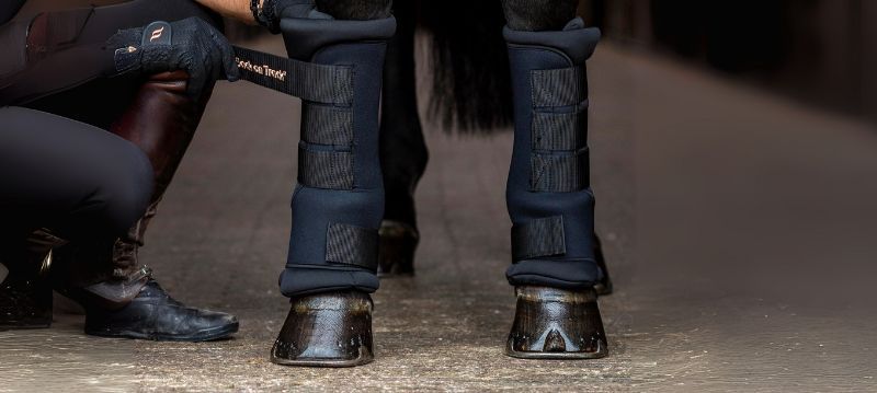 Protection des jambes des chevaux