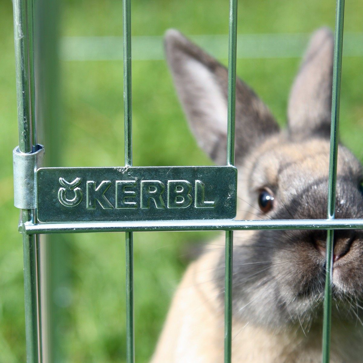 Kerbl Outdoor Run Easy for Rabbits, Galvanised, 115x115x60 cm, detail view, logo