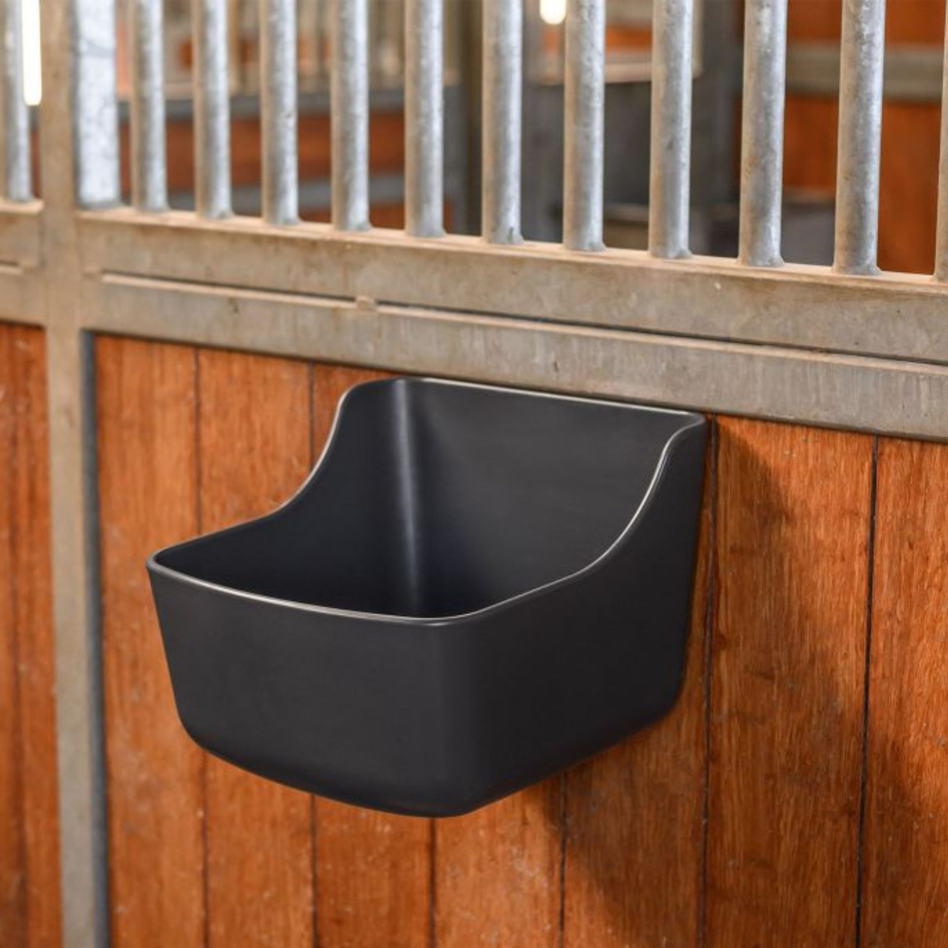 horse, stall, bucket, feed bin, black